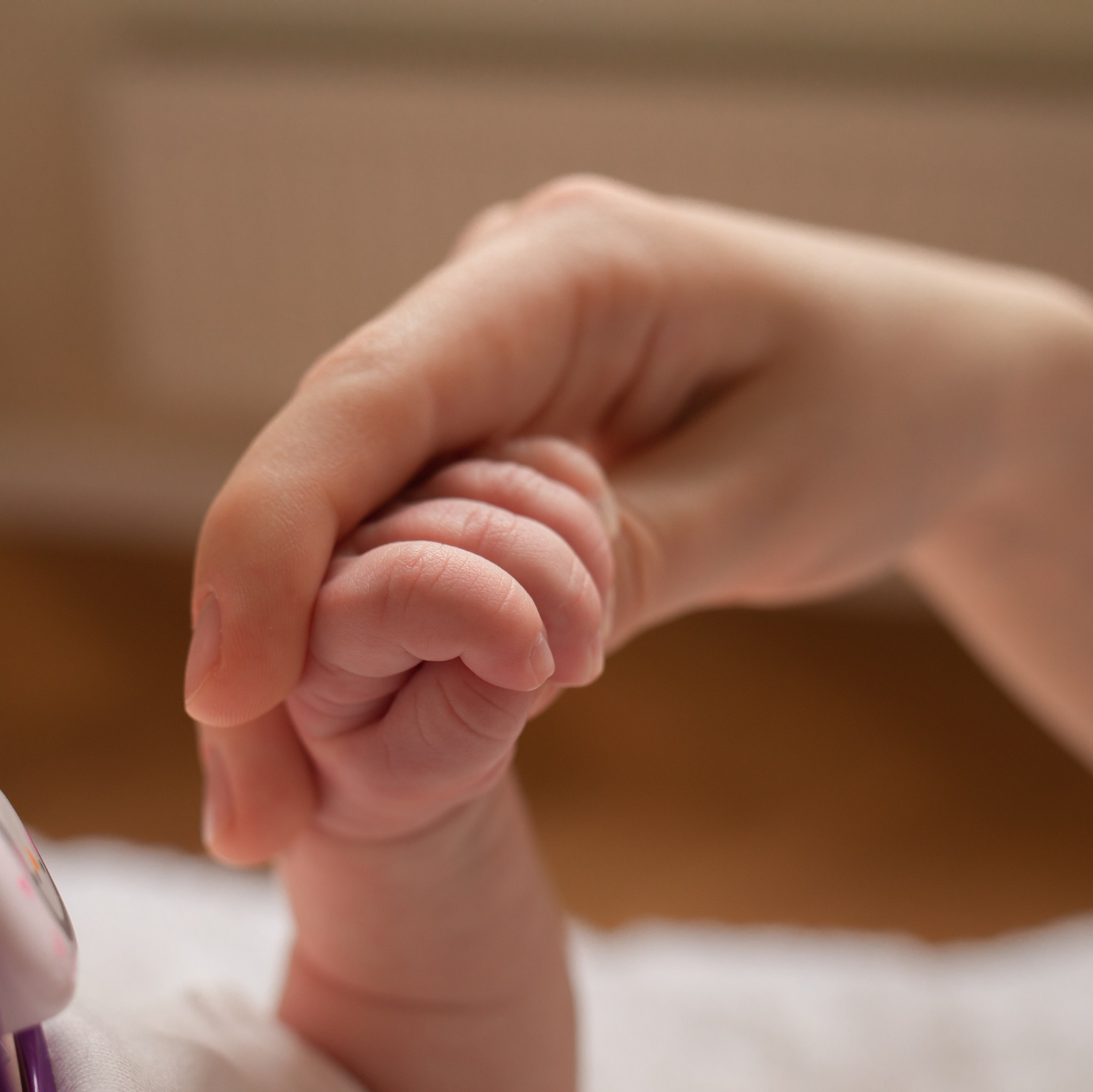 Услуги. Фотограф новорождённых, семейный фотограф, ньюборн фотограф в Калининграде Козлова Янина