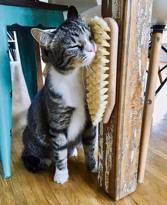 Сама жизнь — радость. Марина Рыбкина — Глубинная психология