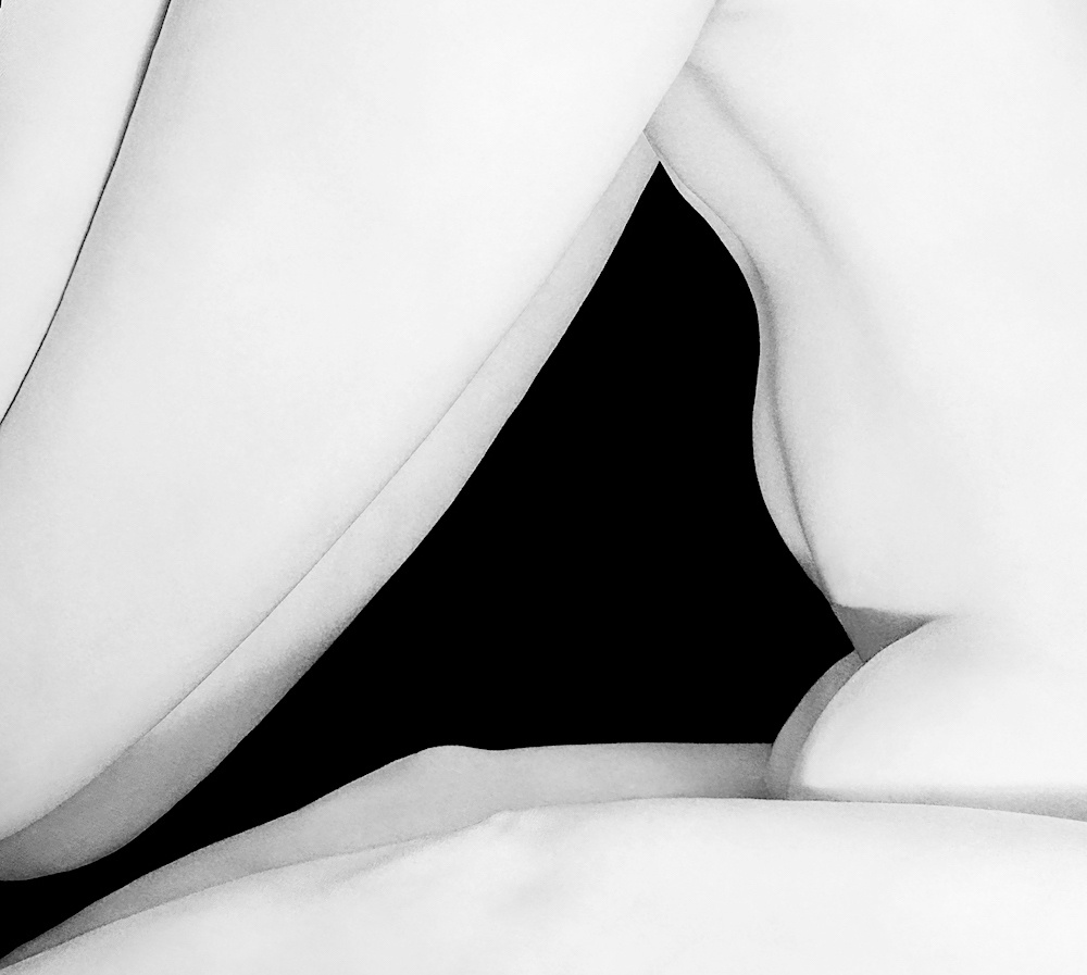 Buy Exclusive artistic nude prints and photo book by Anna Laza. Anna Laza Art photographer