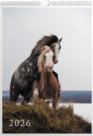 фото для интерьера, отпечаток, авторская фотография, купить отпечаток, купить фотографию, фото лошадей, фото лошади, красивые лошади, принт, цифровой отпечаток, фотокалендарь, продажа фотокалендарей, перекидной календарь, год лошади, календарь 2026, год лошади, календарь-плакат, календарь на 2026 год