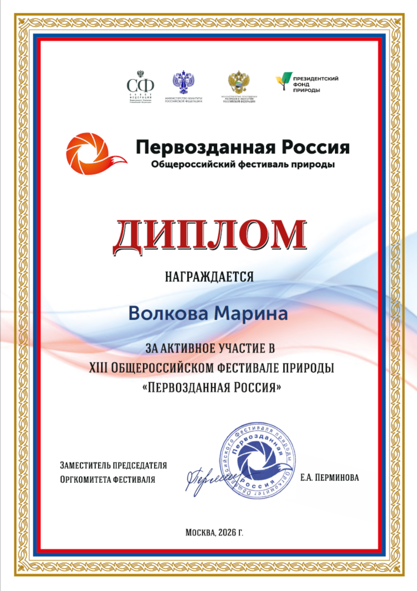 Обо мне. Ваш личный фотограф Марина Волкова