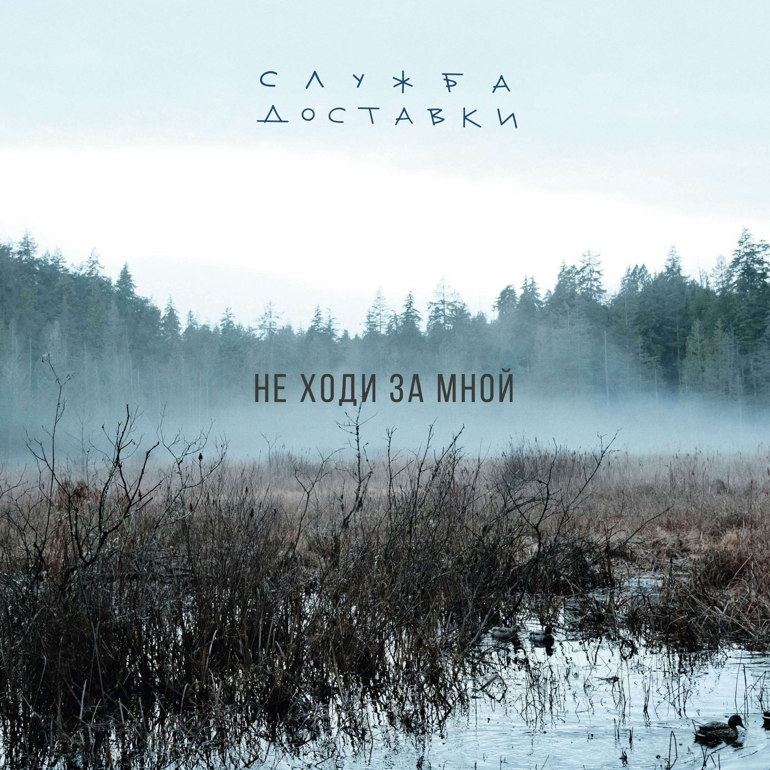 ОБЛОЖКИ АЛЬБОМОВ. Soulstamina ~ graphic designer & visual artist from St.Petersburg