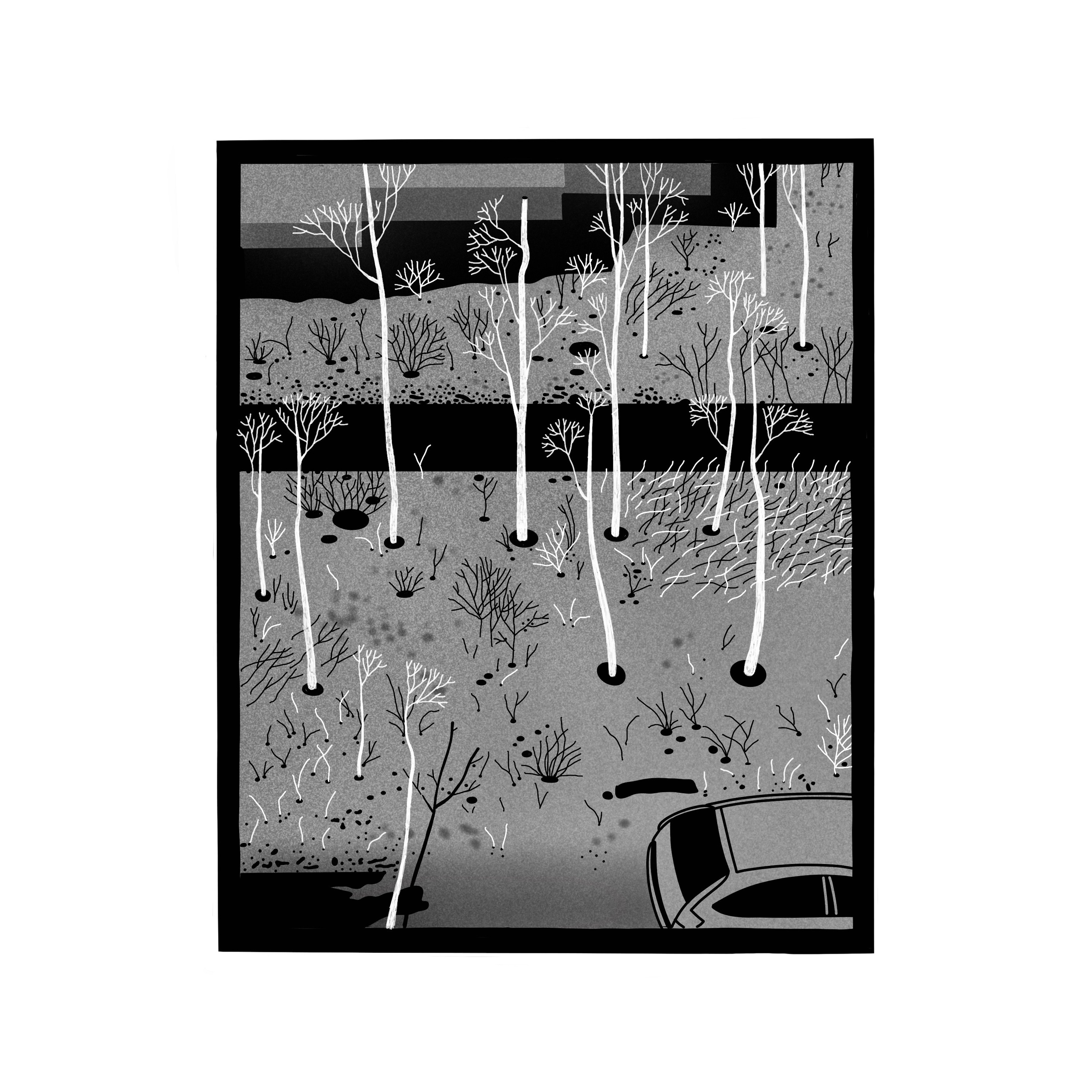 ПРИНТЫ | PRINTS. Художник Ольга Папшева ЛИТПРИНТ / LITPRINT Саратов