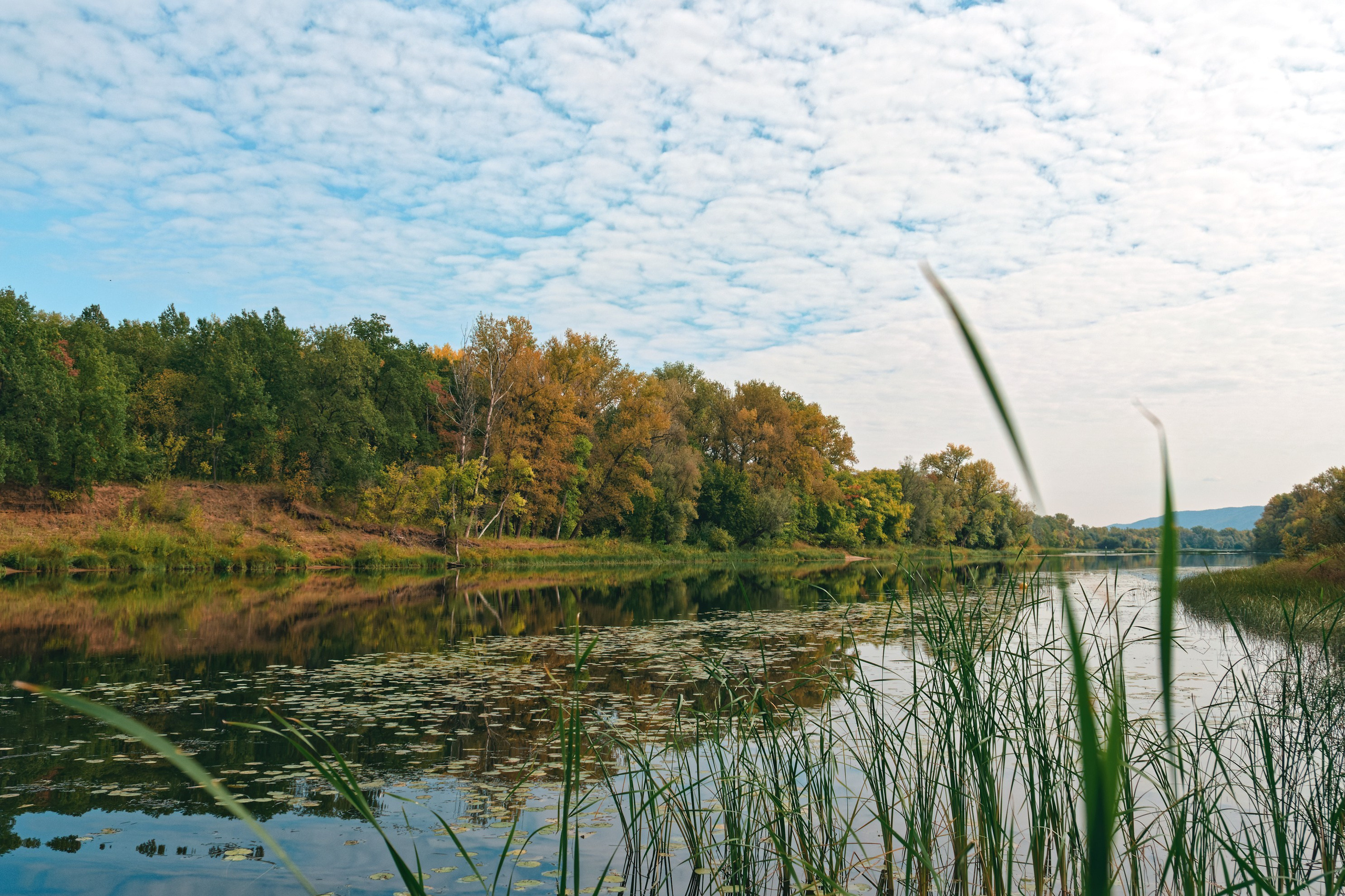 Мастрюково. Коммерческий фотограф в Самаре| DMTRY LUMEN