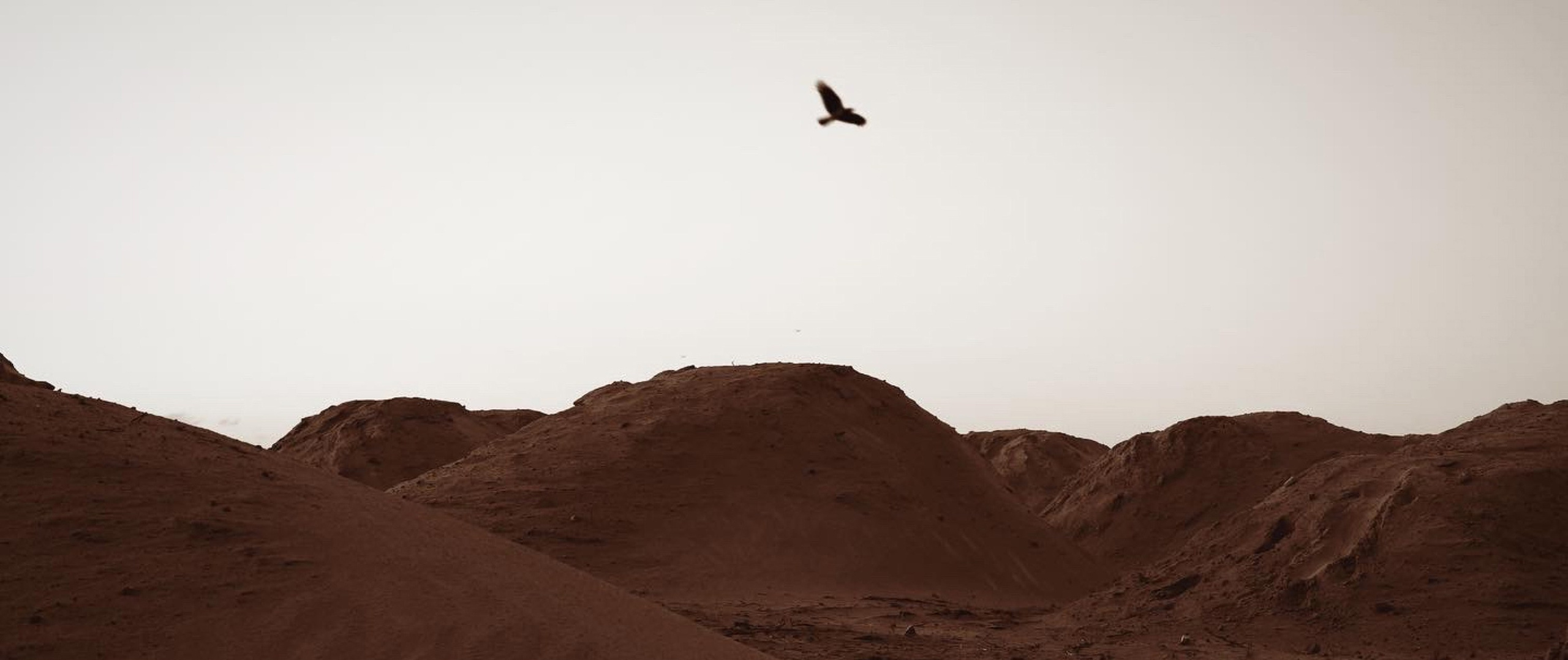 Море внутри. Пылина Ирина — современная фотография