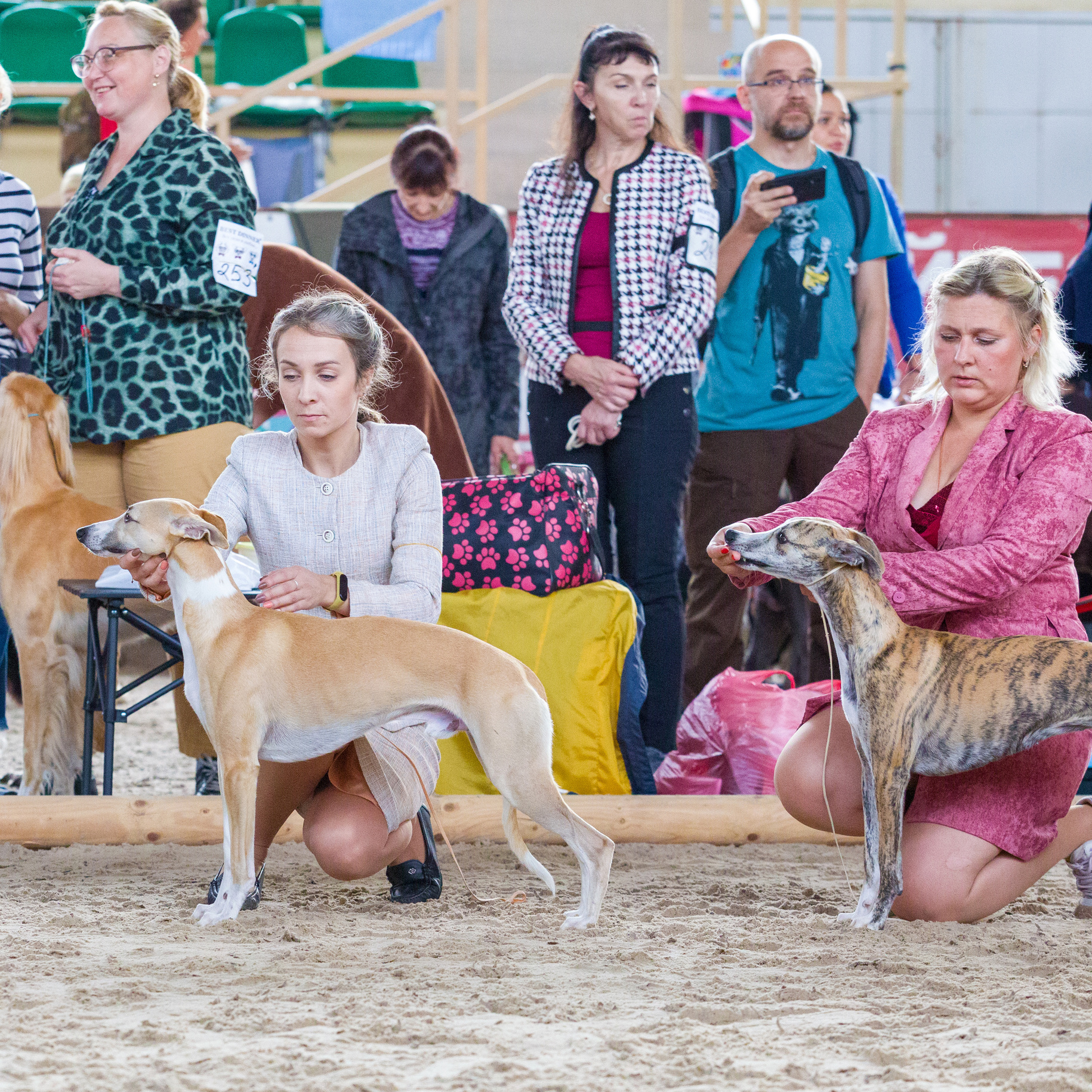 Услуги. Фотограф — анималист Татьяна Ли