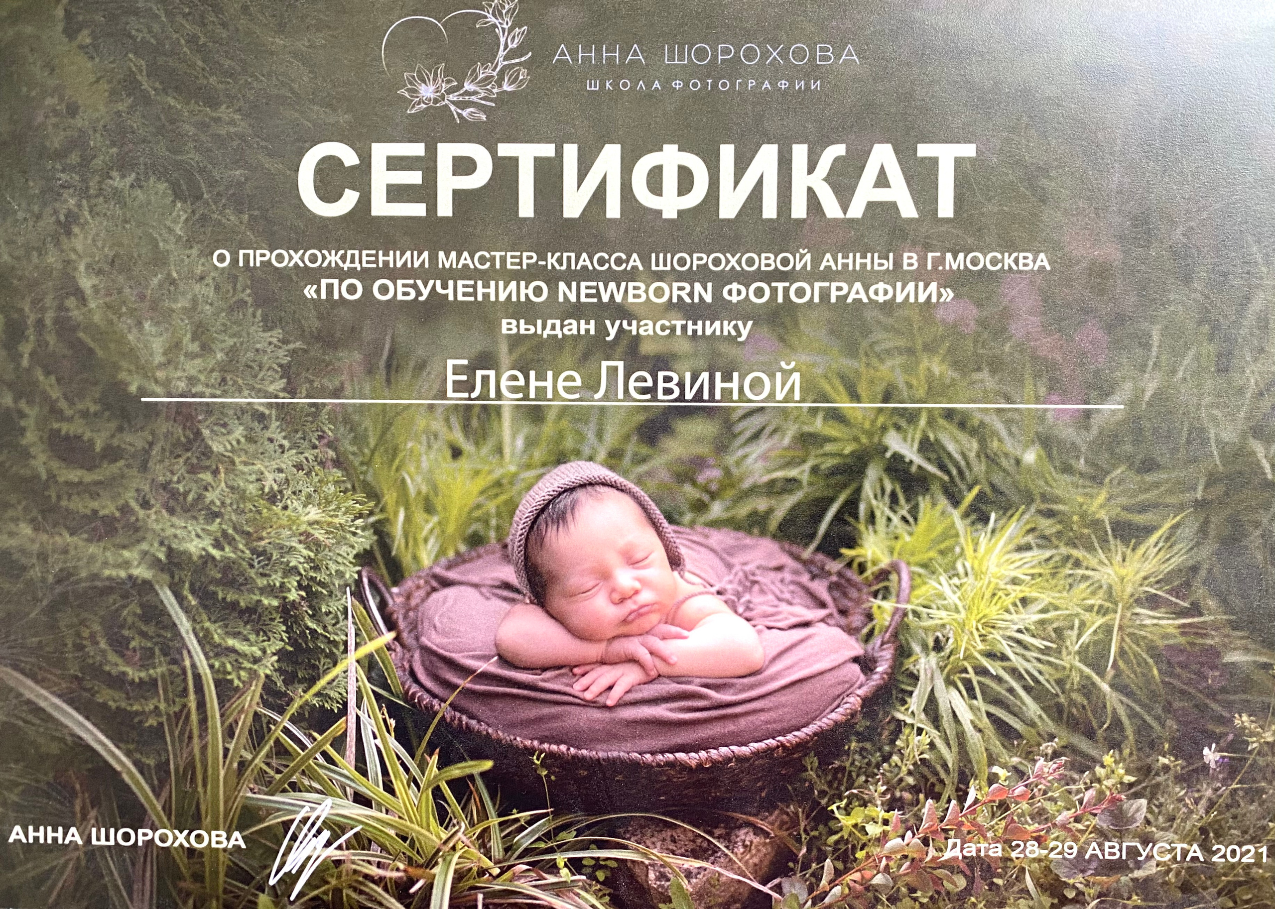 Обо мне. Фотограф новорождённых в Москве Елена Левина