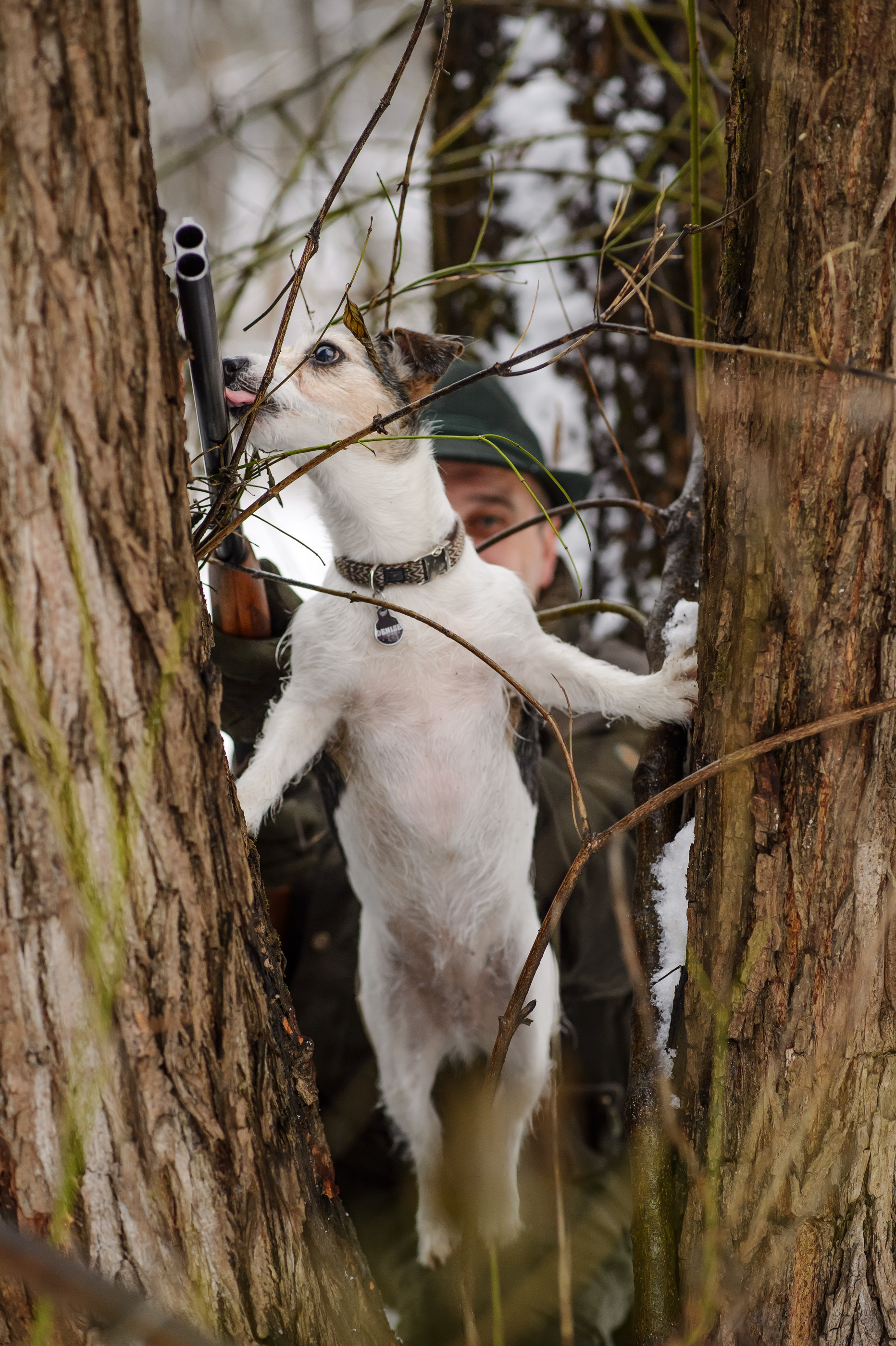 Услуги. Портретный фотограф в Москве Ланин Сергей