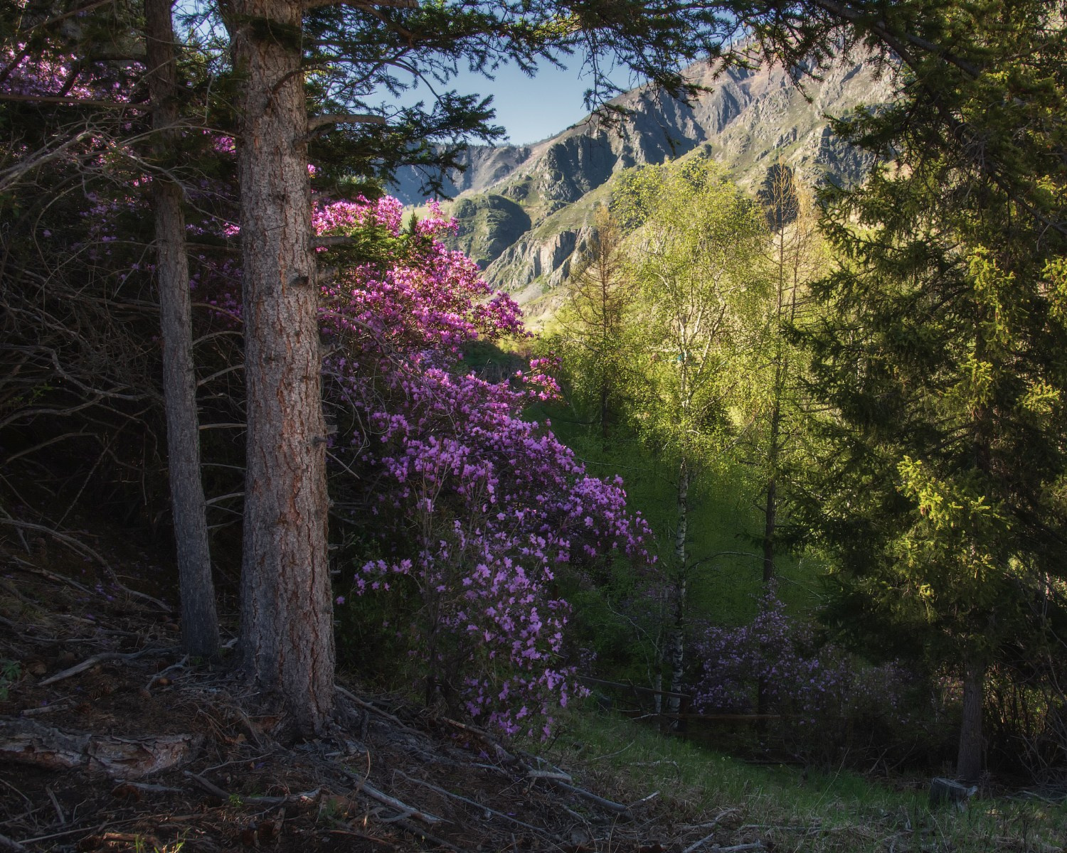 Онгудайский район Республики Алтай. Автор фото Алёна Рубан