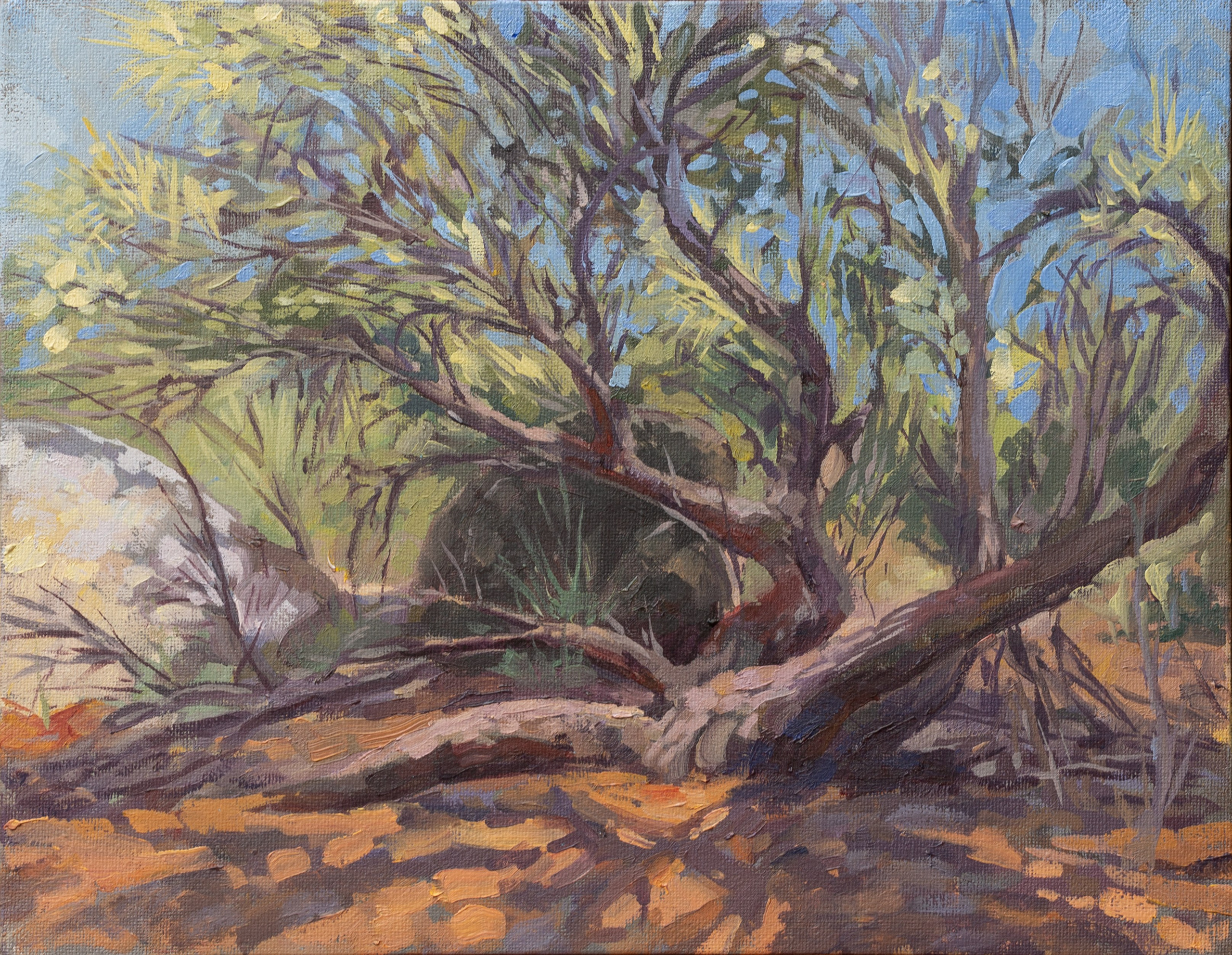 Пейзажи. Художница Маргарита Гусак