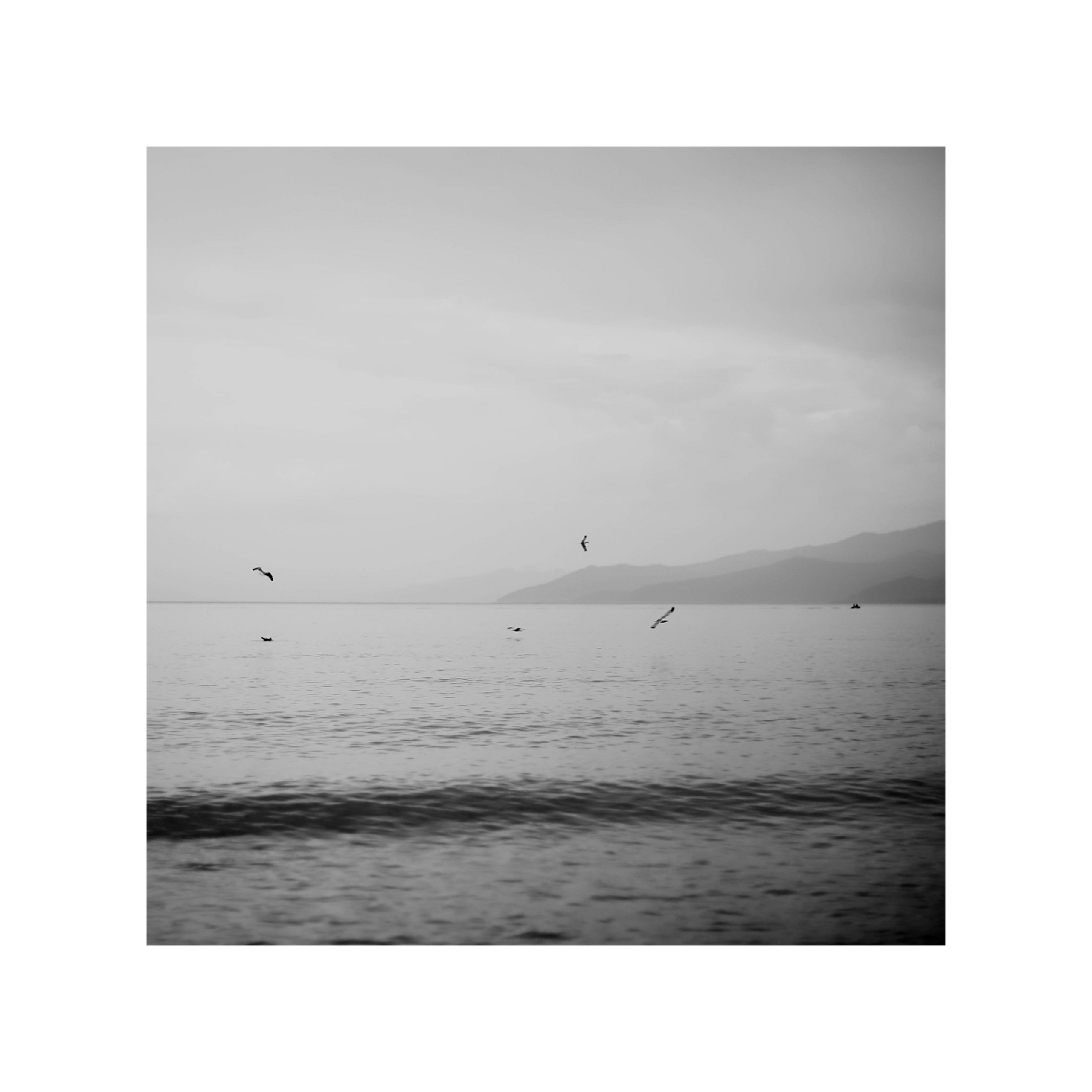 Чёрно-белая фотография, волны, вода, Байкал, озеро, минималистичный пейзаж, птицы летают, чайки кружат над водой, купить интерьерную фотографию, купить фотокартину купить авторскую фотографию в интерьер