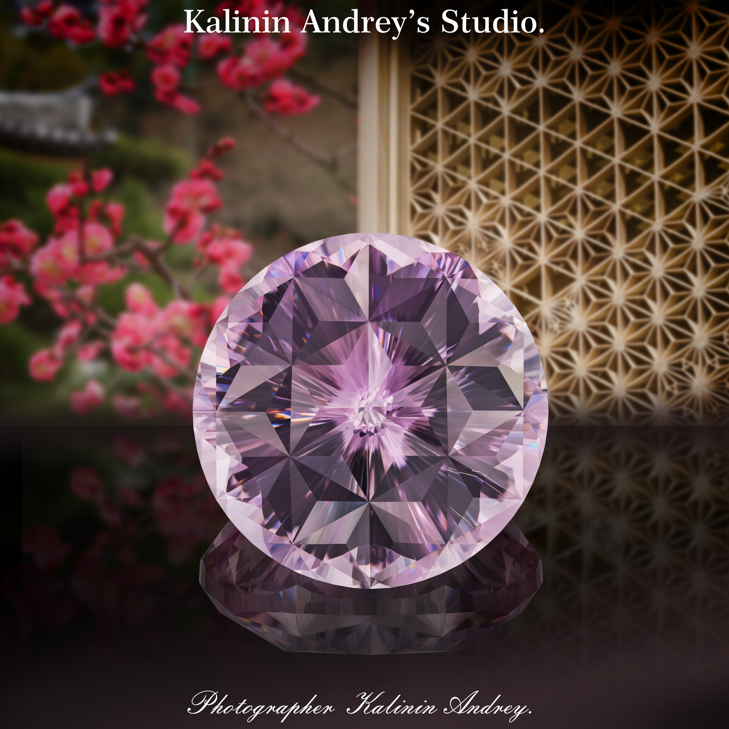 Специализированная фотостудия Kalinin Andrey’s Studio в Москве + 799660031307.
