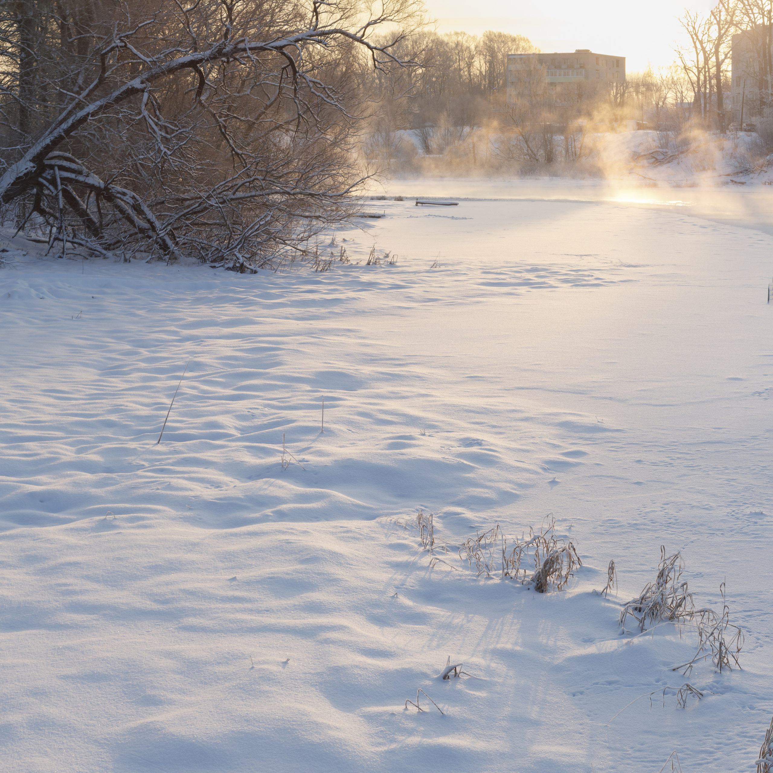Зимняя фотосессия — сказка в Волочке