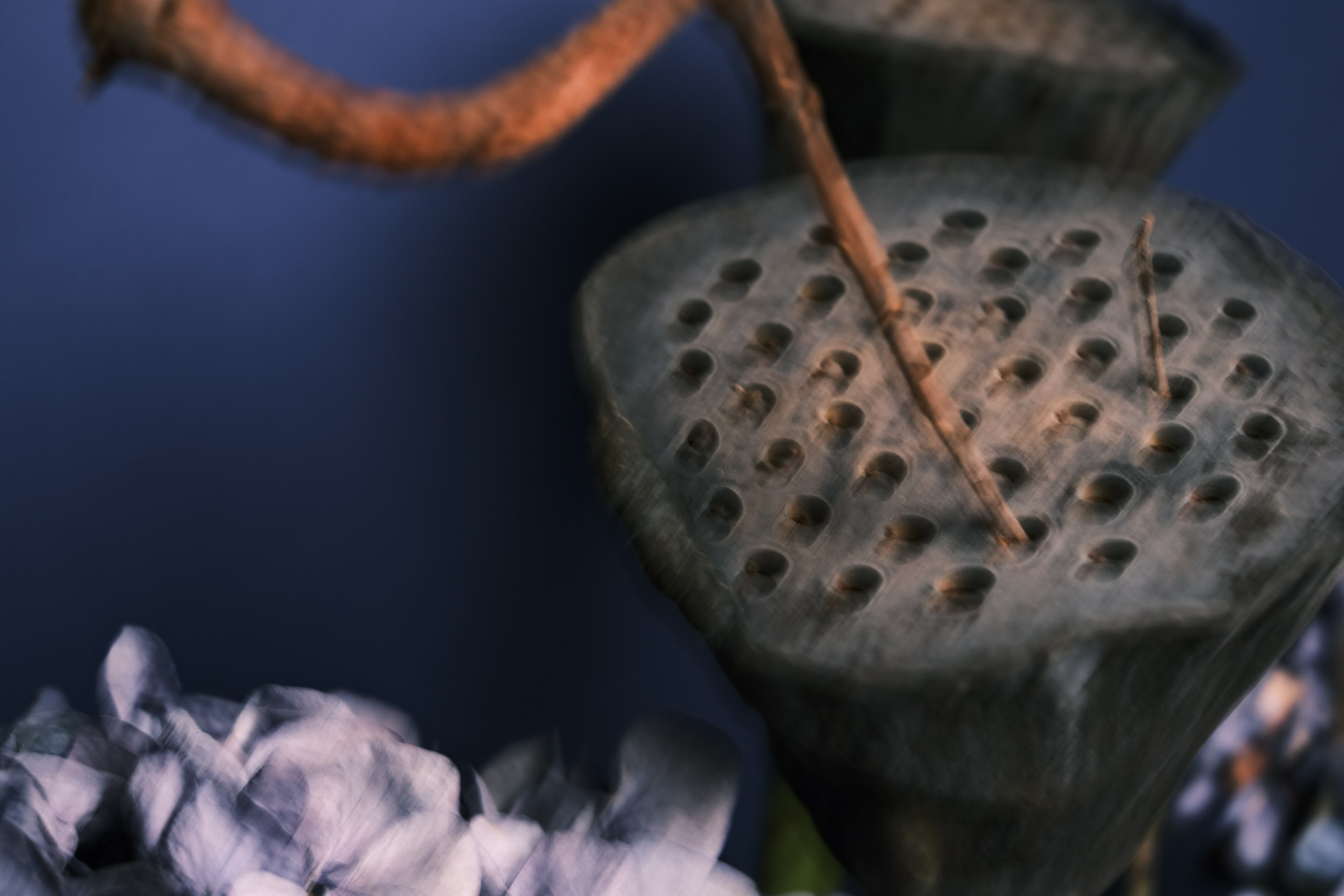 Услуги. Фотограф Анна Чанаях