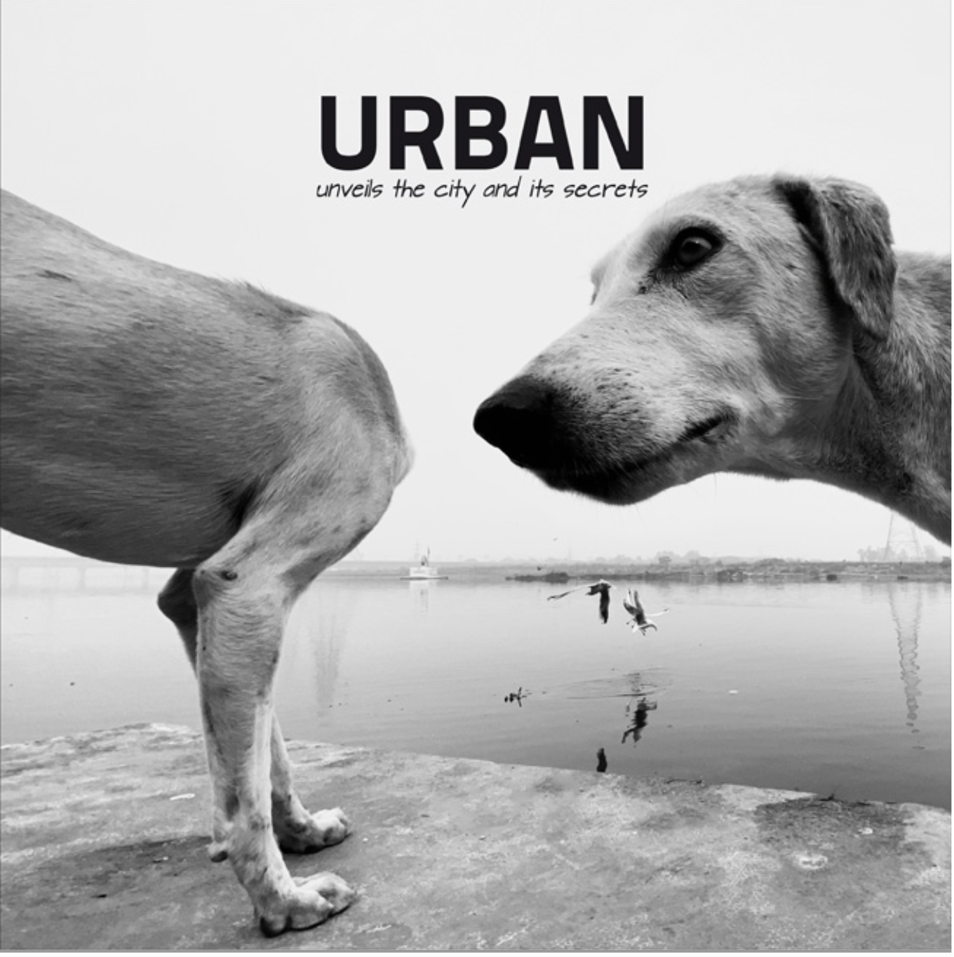 Публикации. Никонёнок Анна фотограф