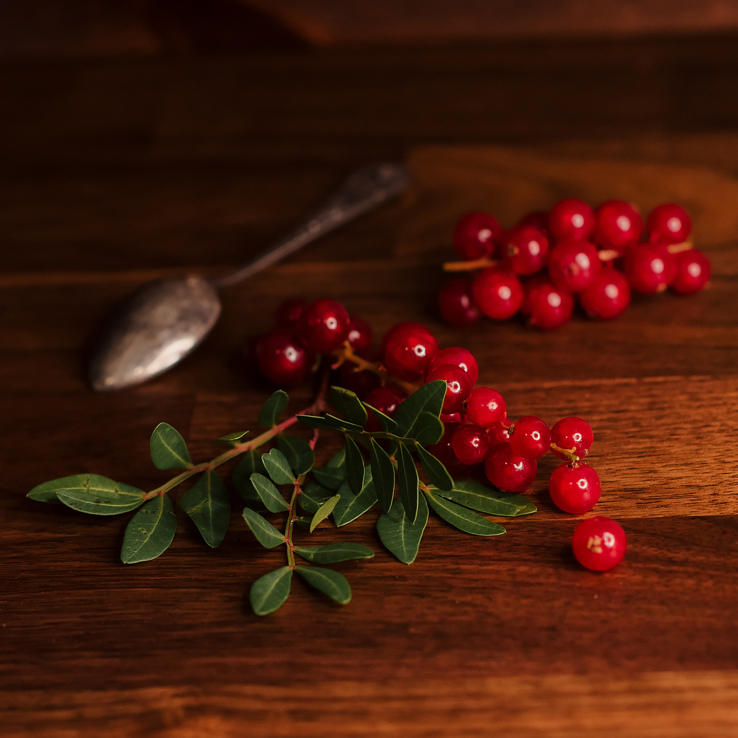 Фотосессия СПб. Семейный и Свадебный фотограф. Санкт-Петербург. Пушкин