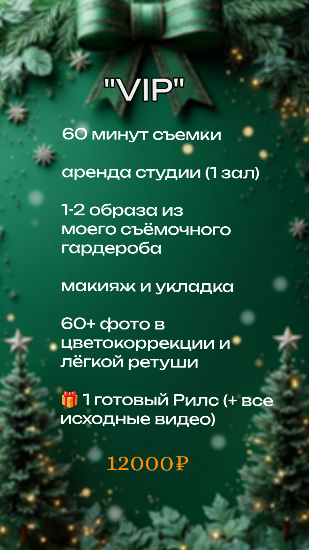 Новогодние фотосессии 2026. Елена Данилова фотограф беременности в Кемерово