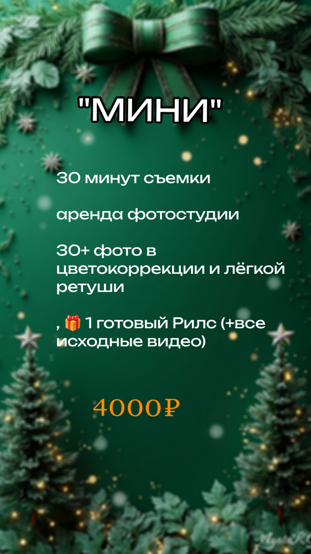 Новогодние фотосессии 2026. Елена Данилова фотограф беременности в Кемерово