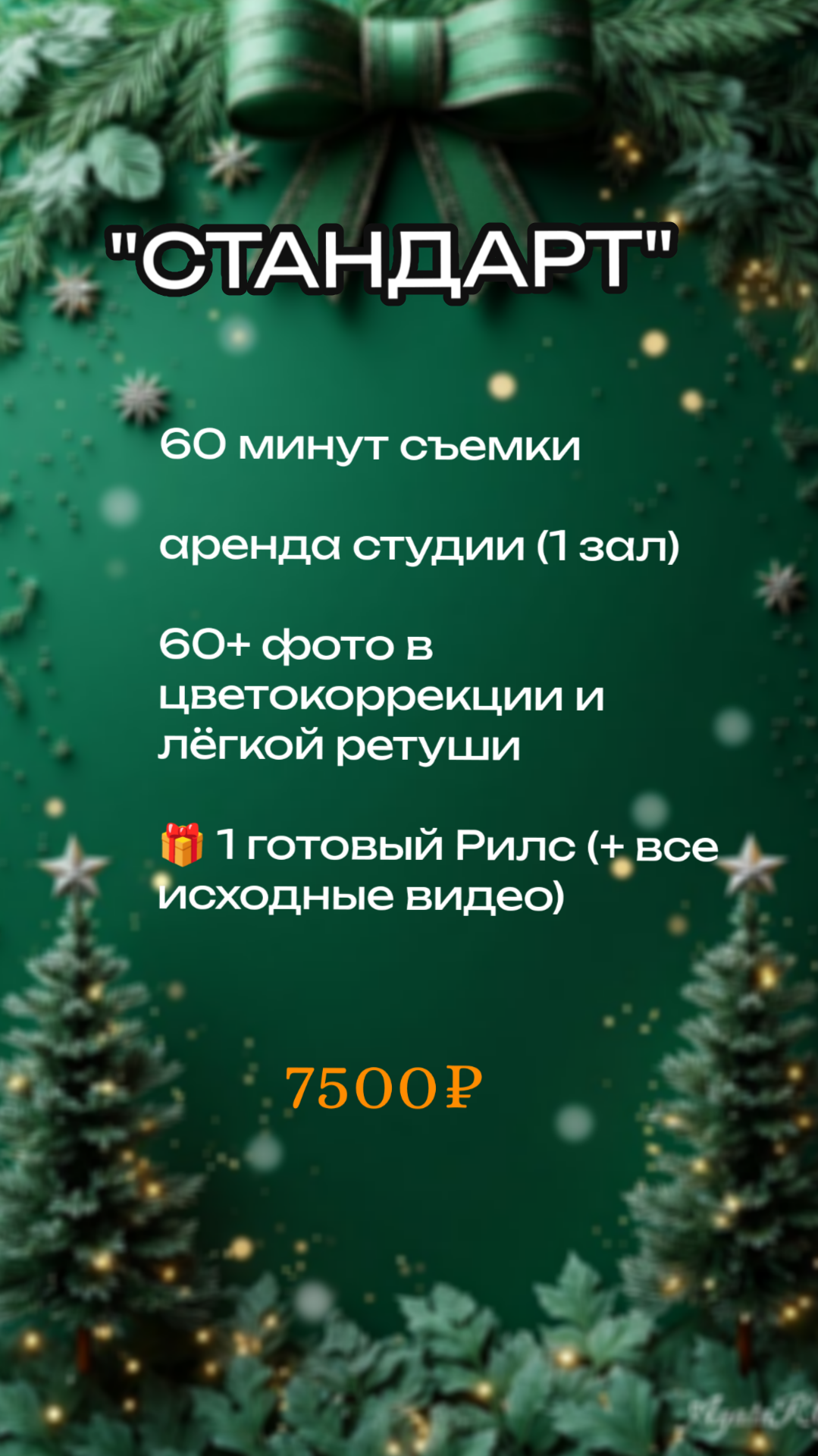 Новогодние фотосессии 2026. Елена Данилова фотограф беременности в Кемерово