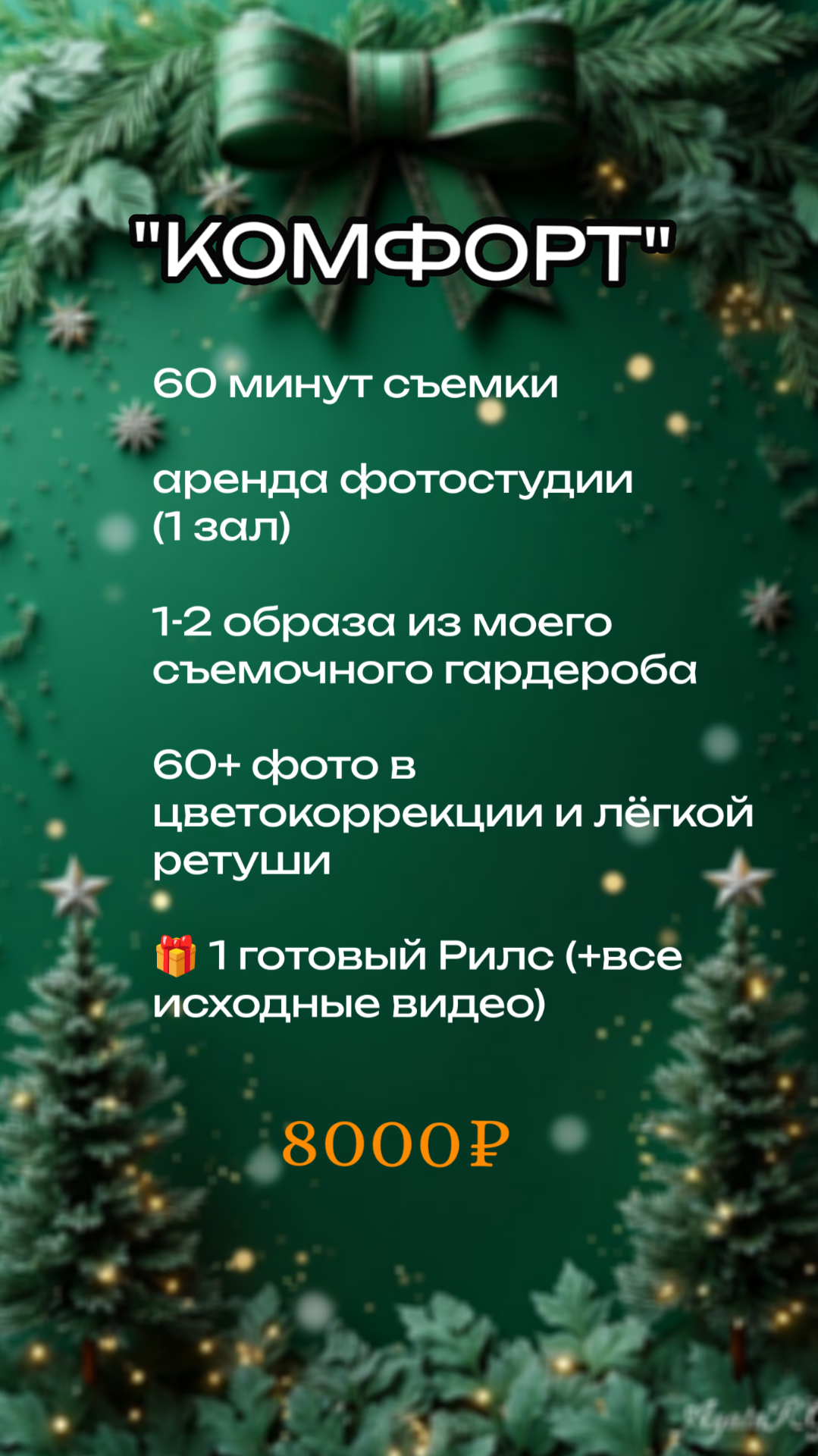 Новогодние фотосессии 2026. Елена Данилова фотограф беременности в Кемерово