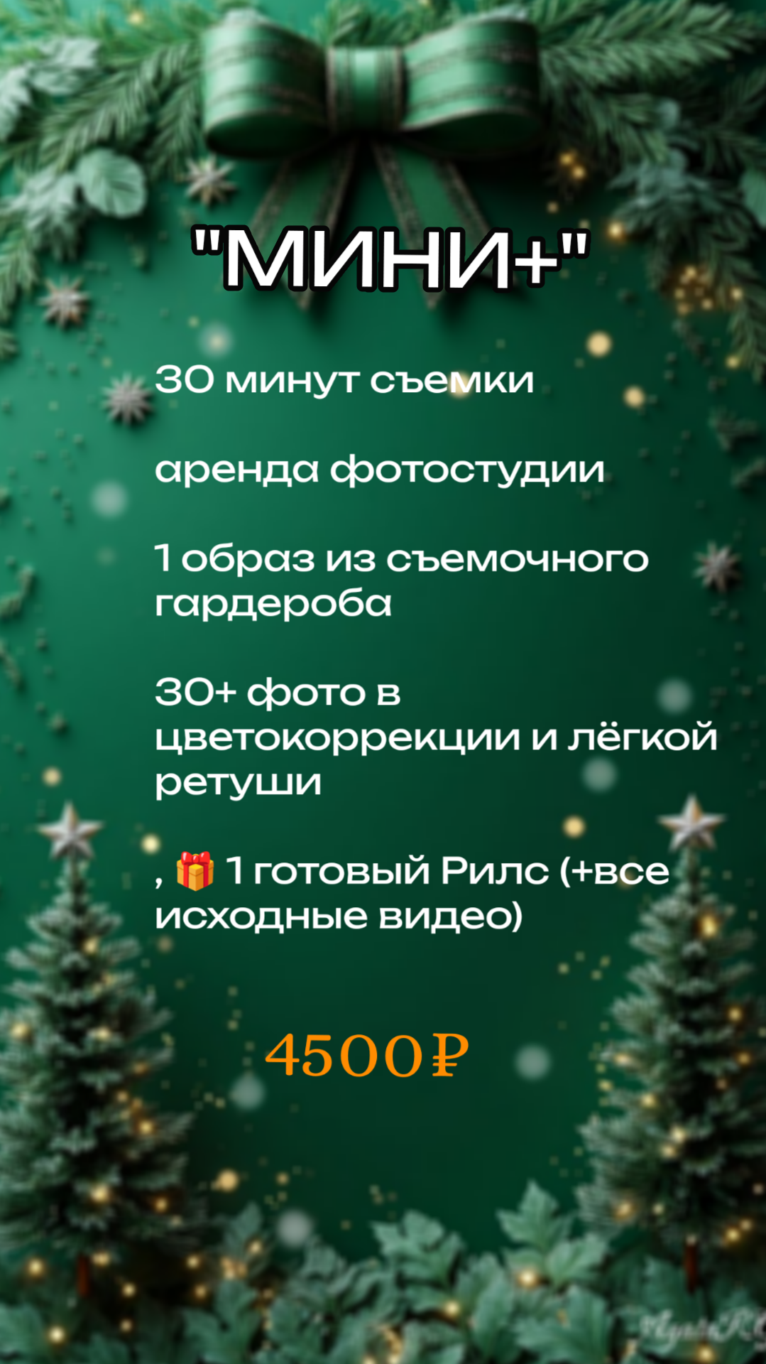 Новогодние фотосессии 2026. Елена Данилова фотограф беременности в Кемерово