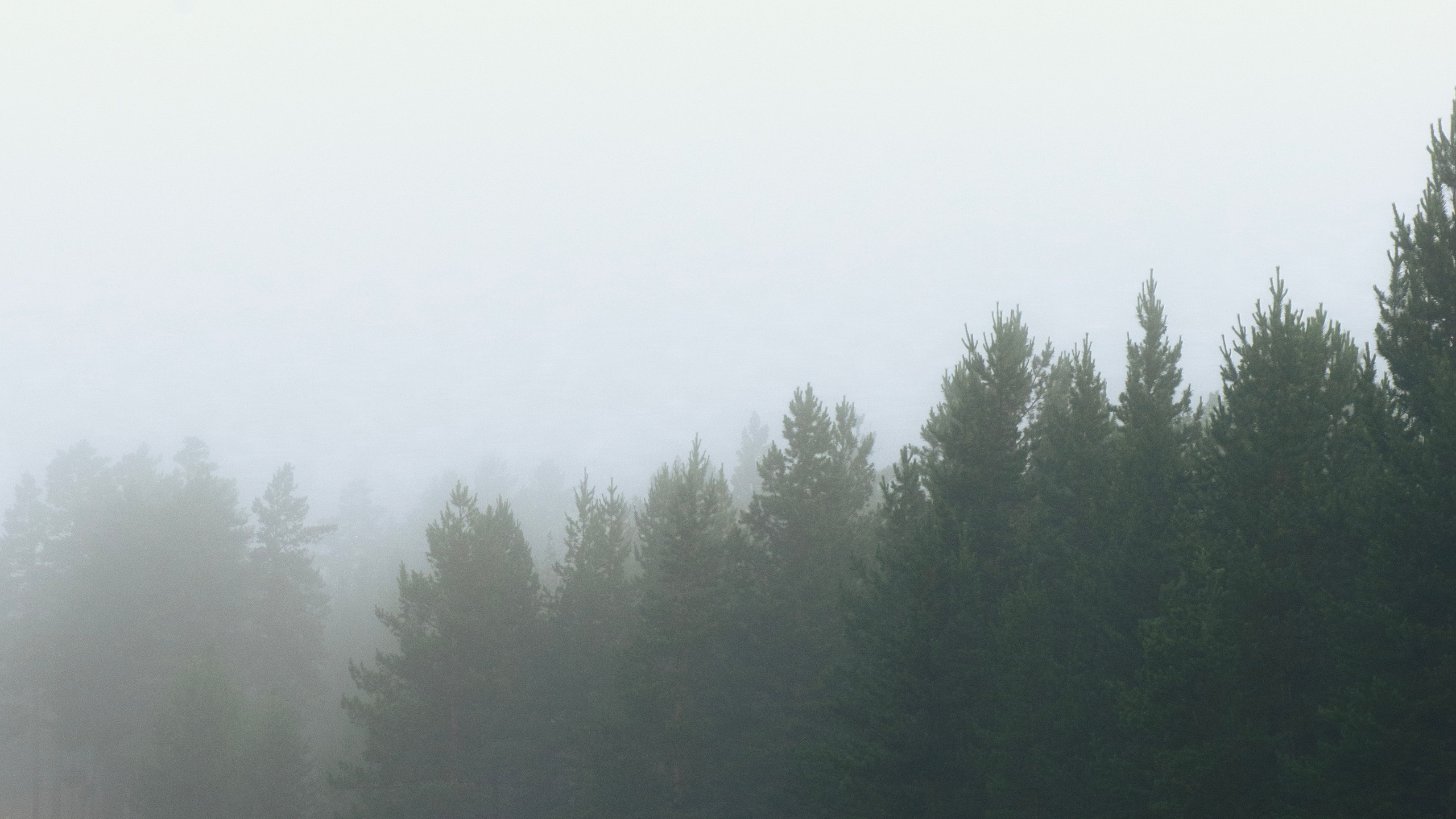 Прогулка. Профессиональная High-End Ретушь | Ретушер и предметный фотограф Алла Белова