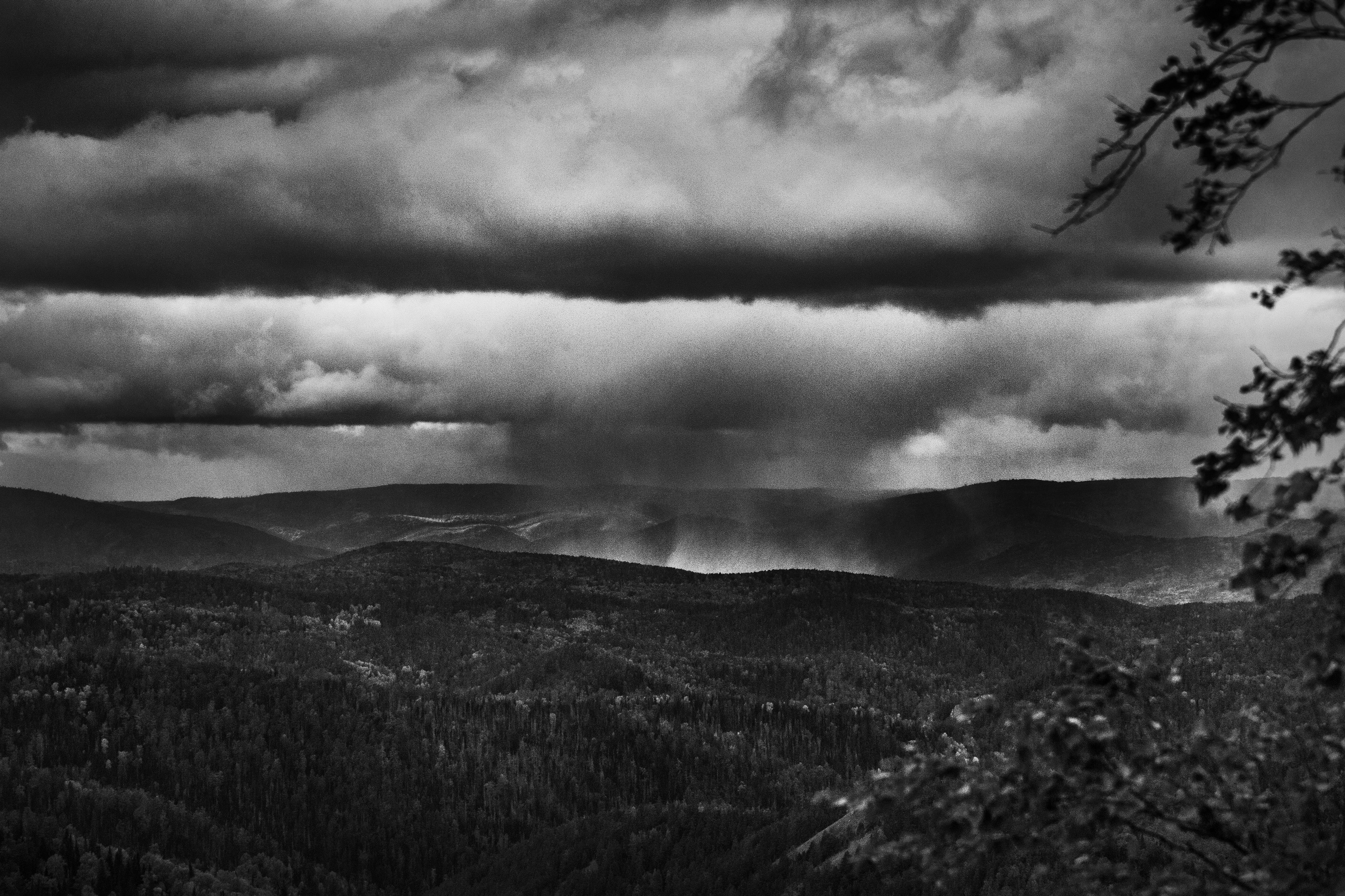 Работы, сделанные в Арт-резиденции «Красноярские столбы». Арт-фотография, терапевтическая фотография в Москве. Фотограф Анна Ермолова