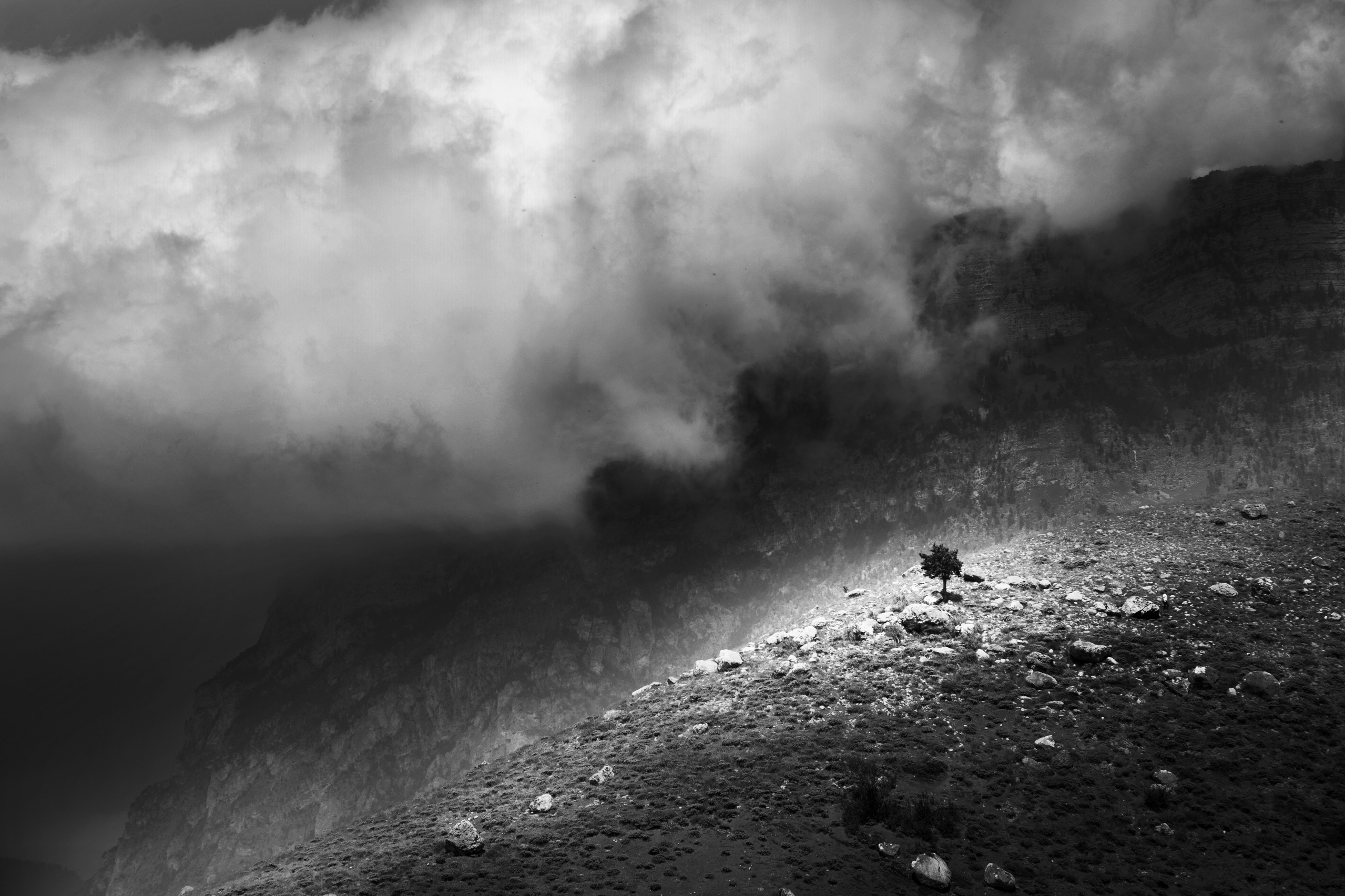 Точка равновесия. Арт-фотография, терапевтическая фотография в Москве. Фотограф Анна Ермолова