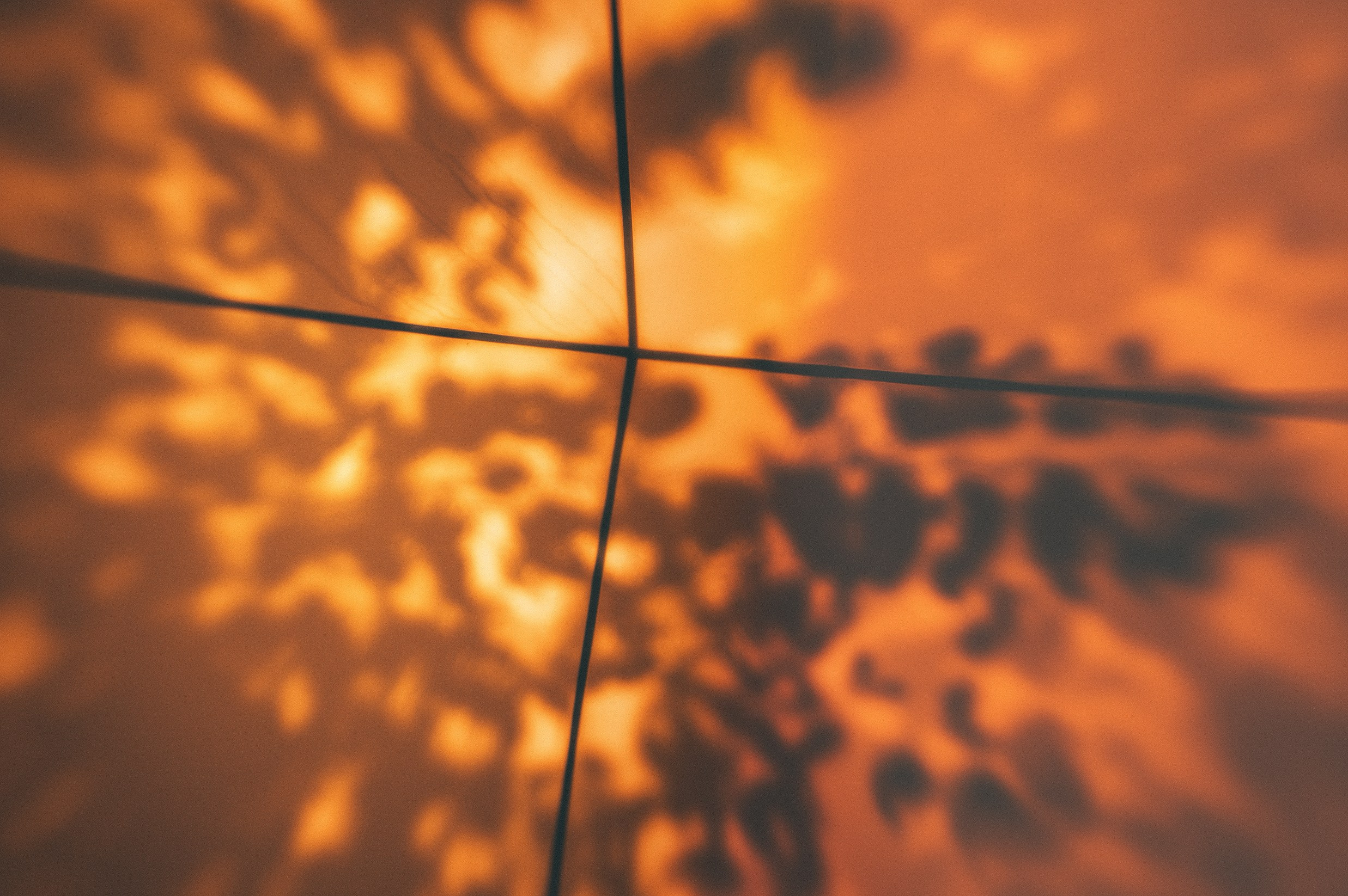 ART BEYOND REASON. International visual artist