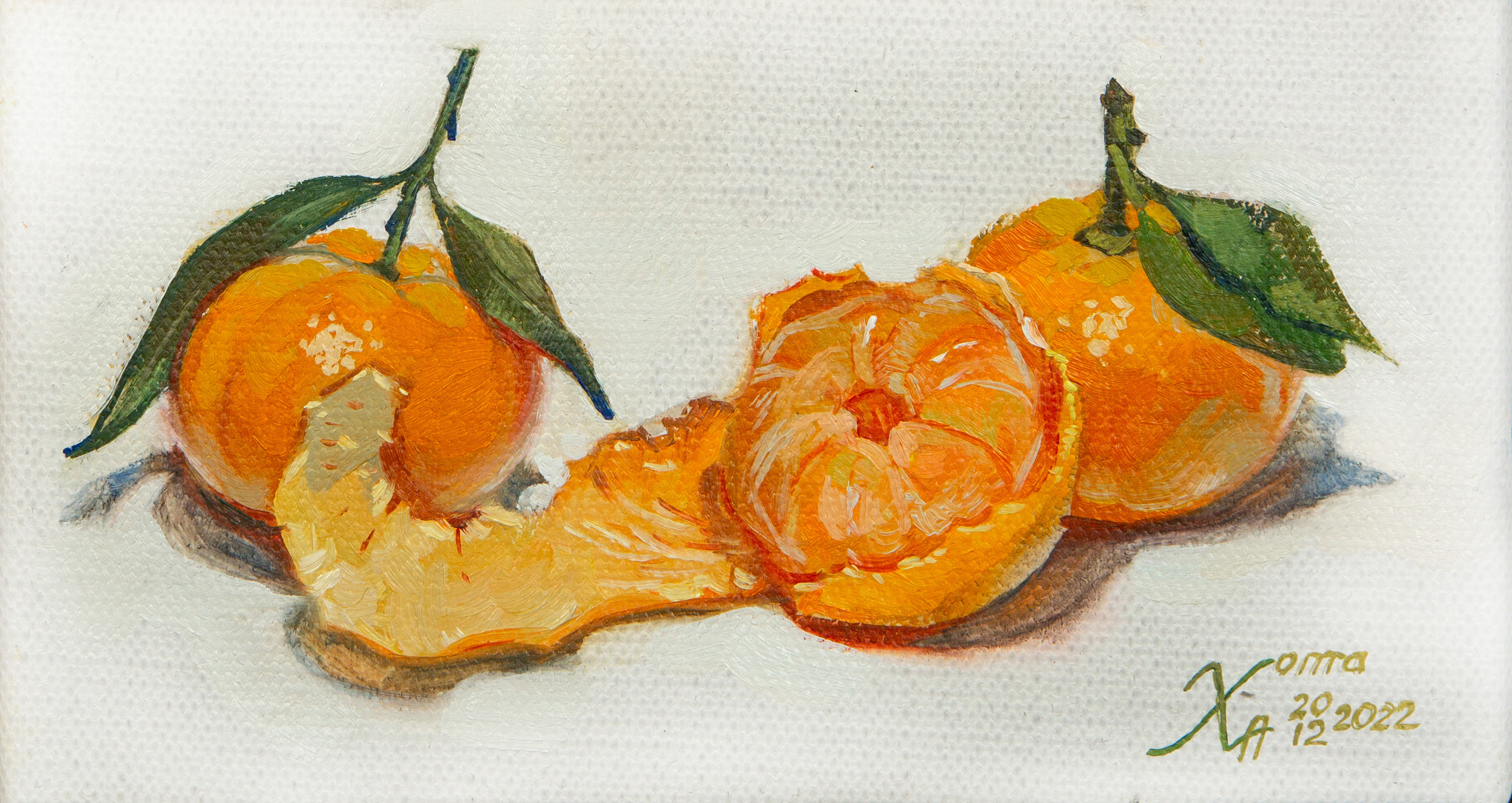 ЖИВОПИСЬ ГАЛЕРЕЯ. Artist Anna Khopta. Oil and Acrylic Paintings. Moscow