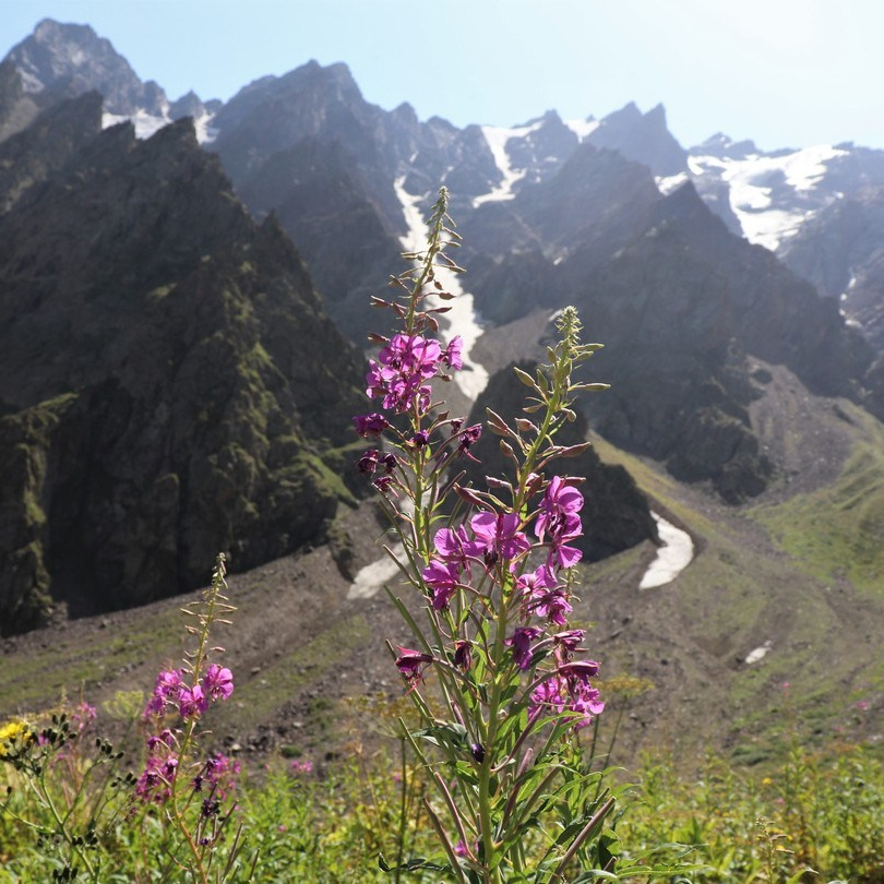 Фото-тур на майские в северную Осетию. Фотограф в Астрахани • Фото-туры • Виктория Герма