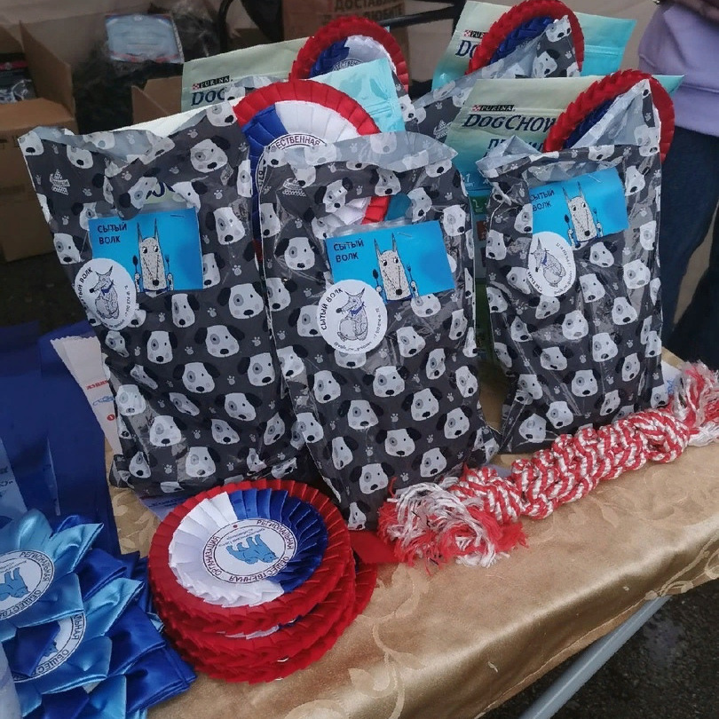 Третья выставка беспородных собак «Для дружбы не важна порода». НРОО КЦ "Собаковод"