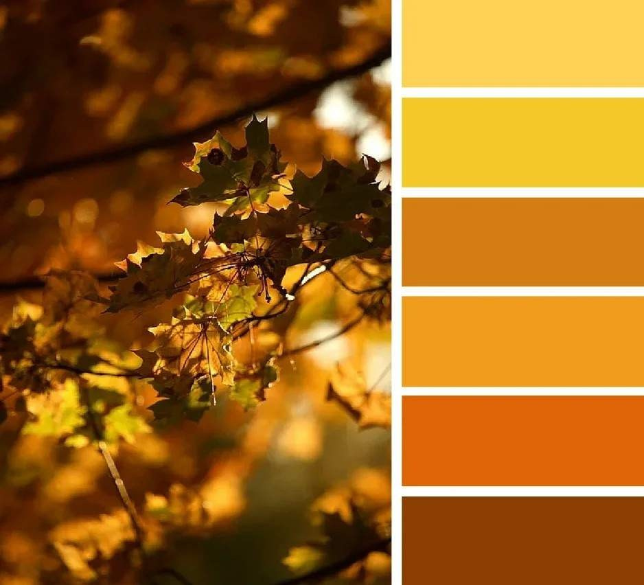 Советы. Женский и семейный фотограф