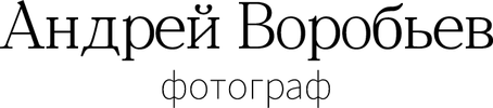 vorobyevandrey.ru