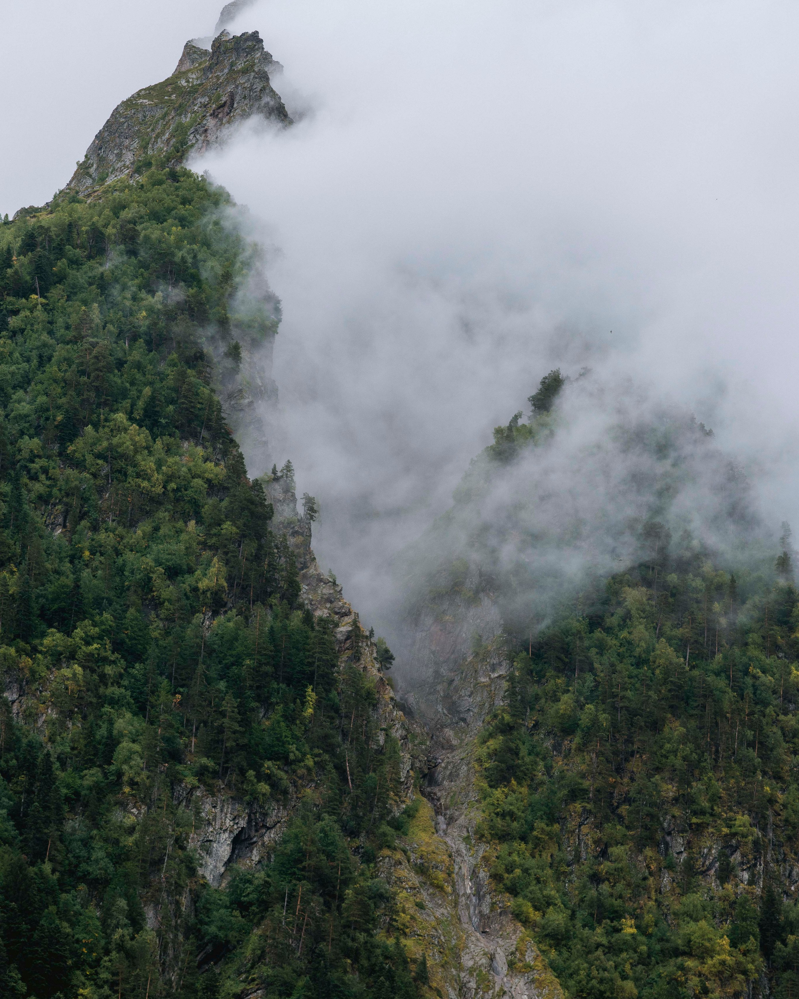 Смотри, красота!