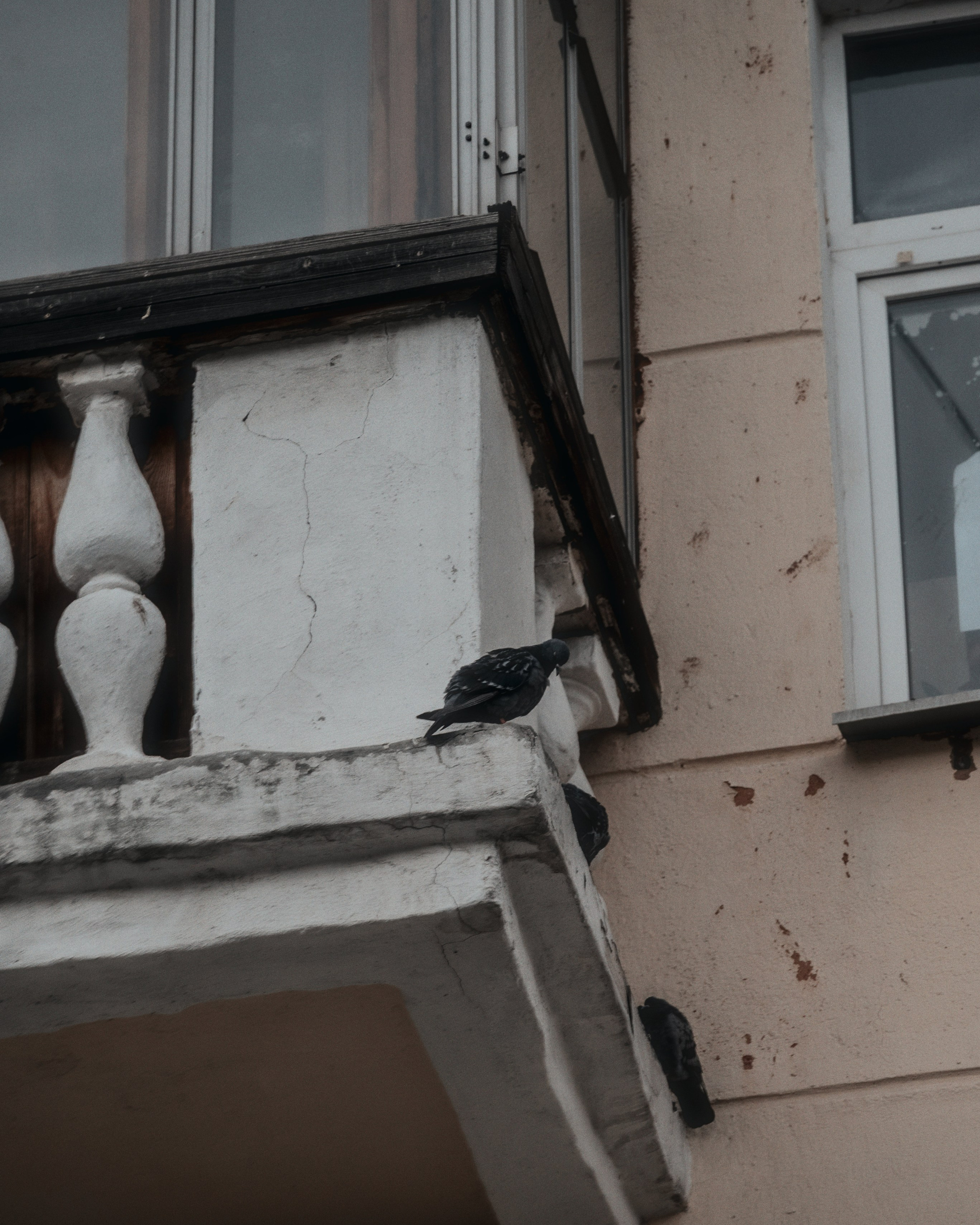 От Дворянского гнезда до Мадрида. Место {не}банальных фото