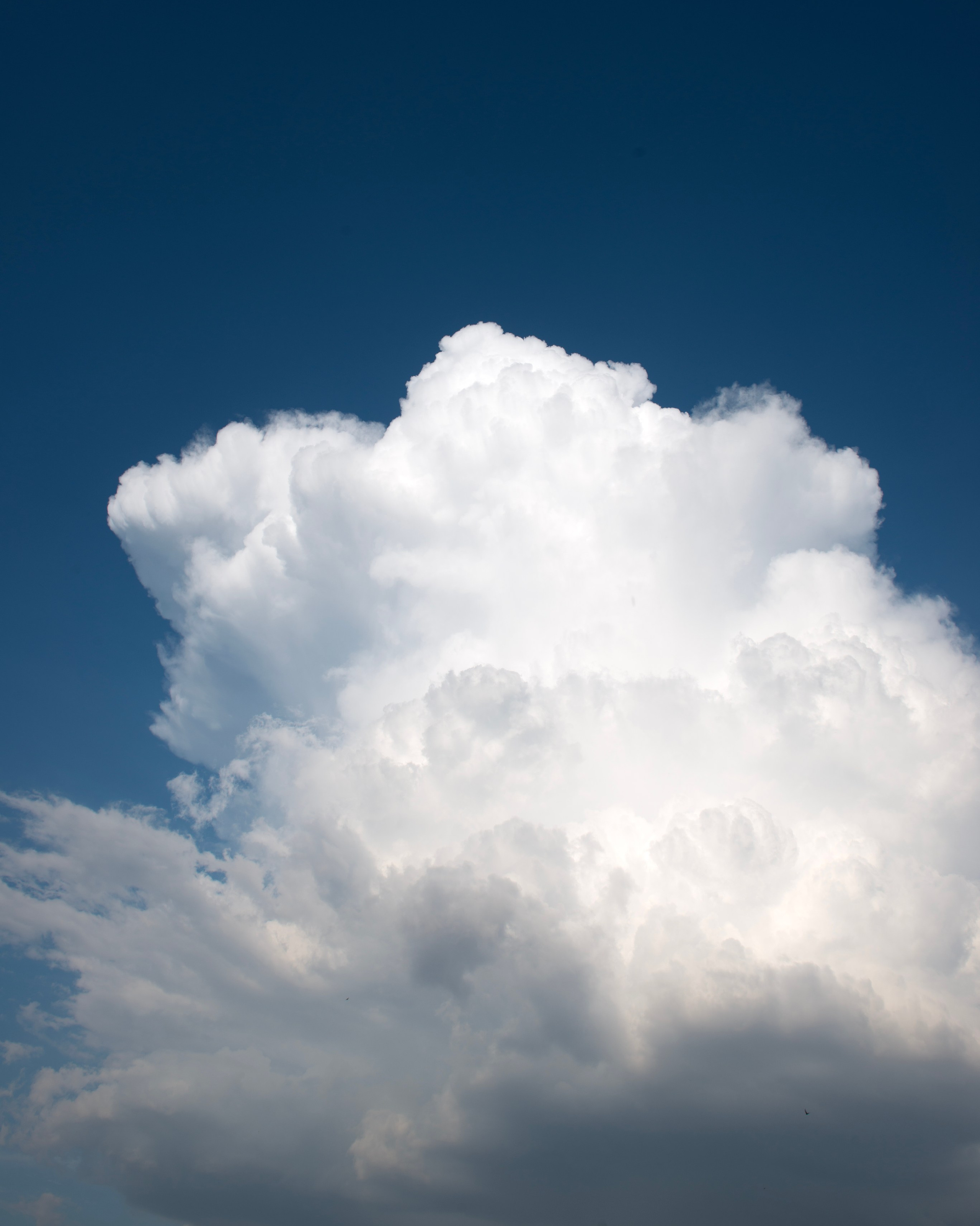 Посмотри наверх. Профессиональная High-End Ретушь | Ретушер и предметный фотограф Алла Белова