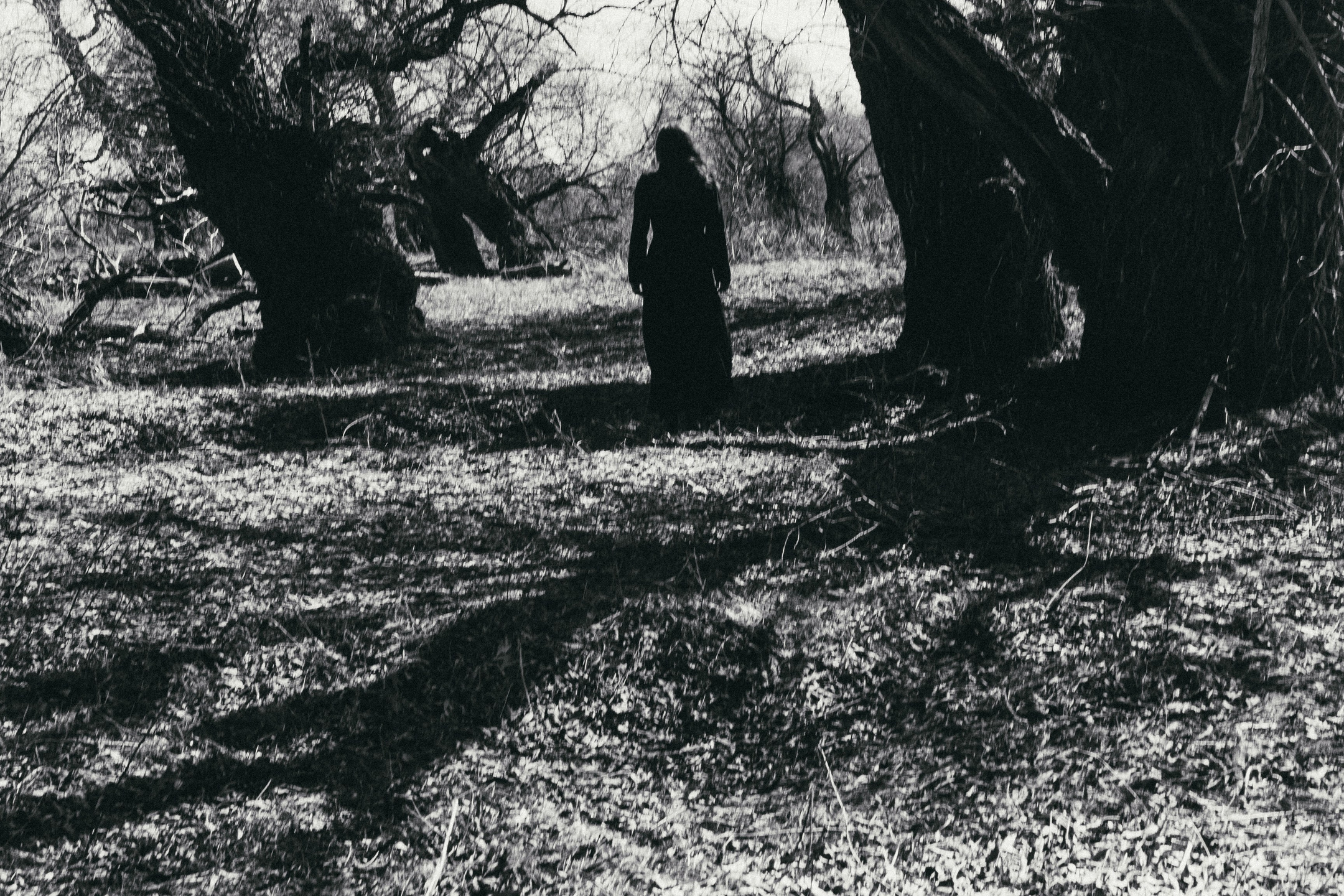 Услуги/Пространства для встречи (1). Фотограф в Омске Екатерина Павлова