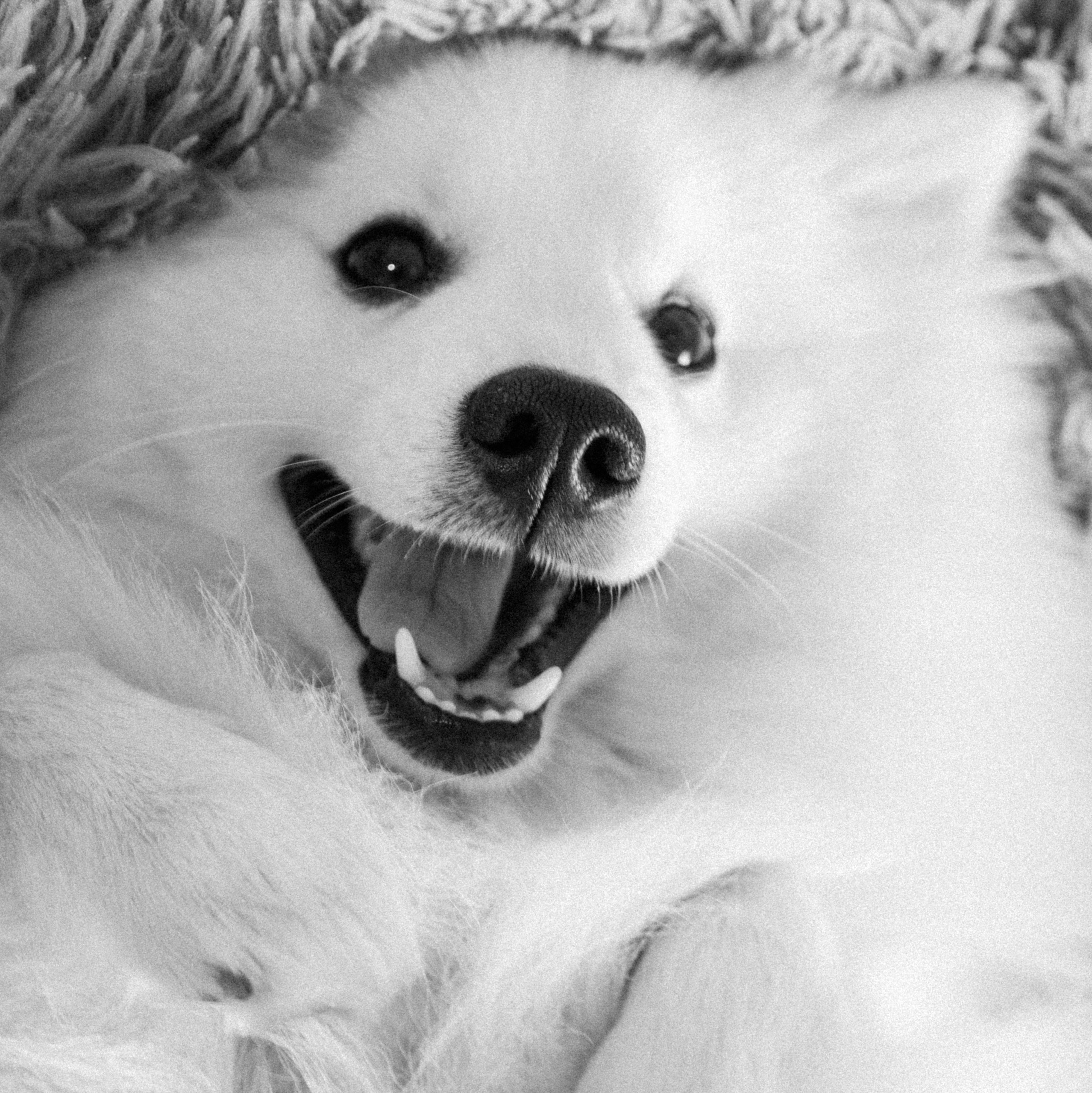 Кошенкова Мария: портретный и репортажный фотограф. Санкт-Петербург