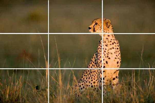 Ведение семейной фото-видеолетописи