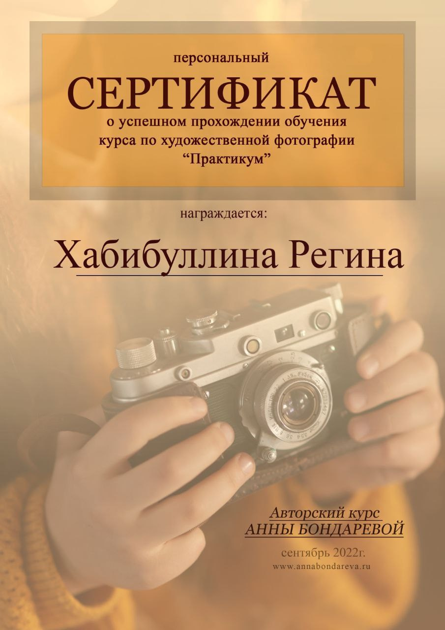 Мои достижения. Детский и семейный фотограф в Сертолово Регина Хабибуллина