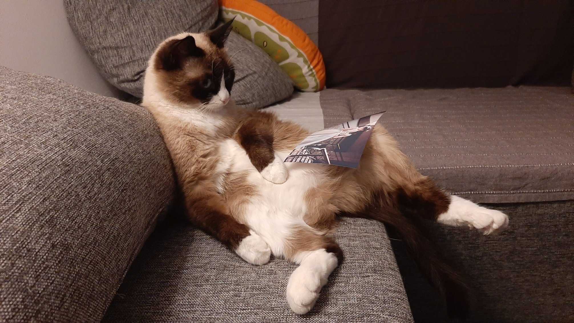 Свадьба барвиха. Каталожный предметный фотограф