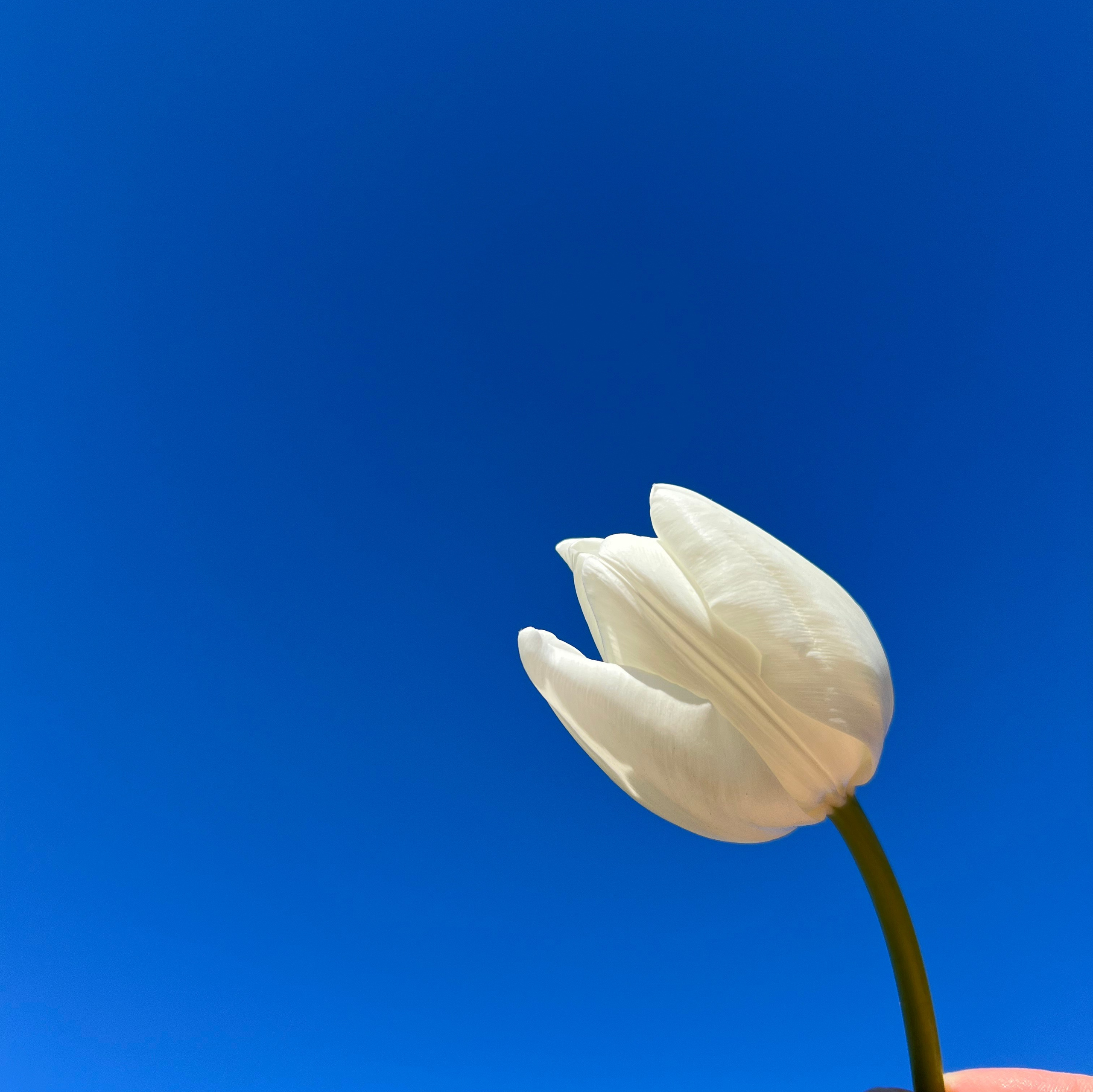 Контакты. Фотограф моментов, радости и свободы