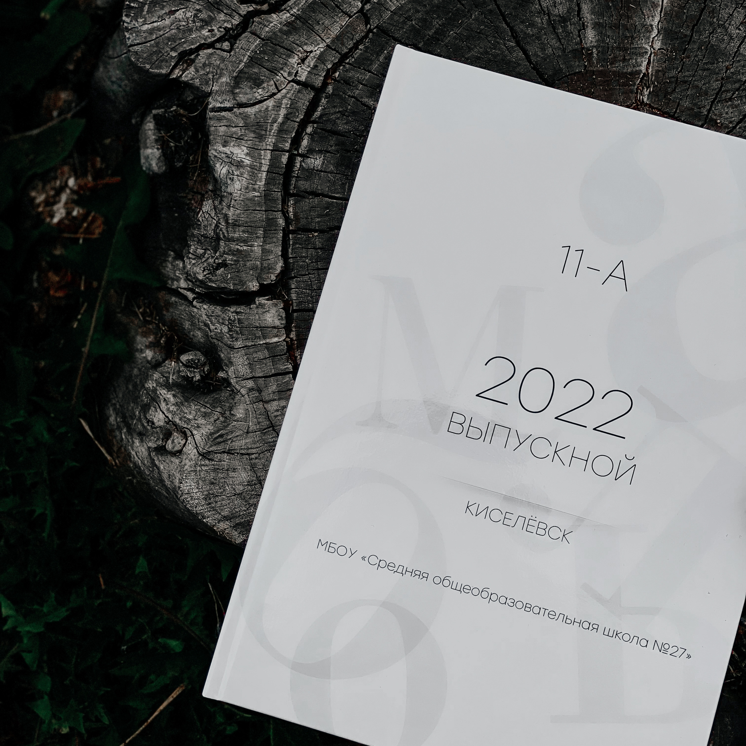 ВЫПУСКНЫЕ АЛЬБОМЫ. Фотограф в Киселёвске Татьяна Трухалева