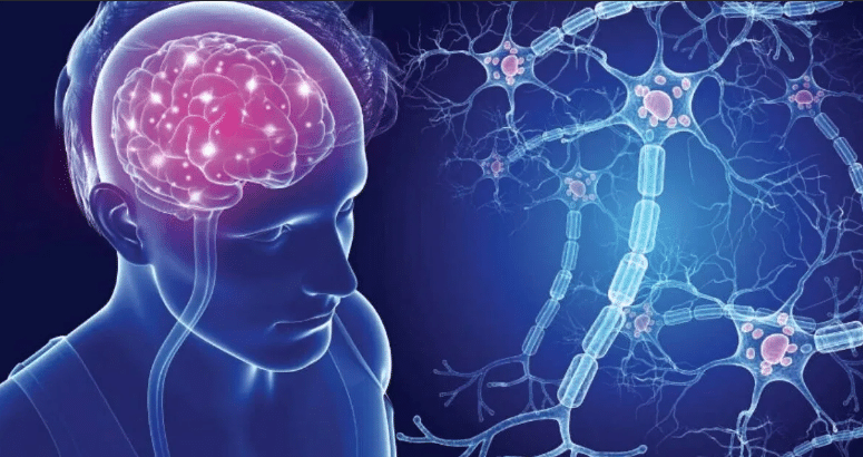 Рассеянный склероз. Диагностика на ранних стадиях. Сово-Сово — Омоложение и оздоровление!