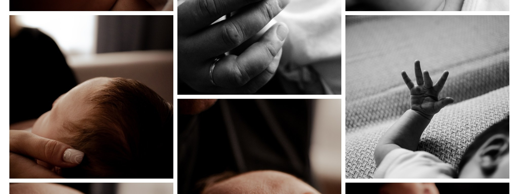 ТАРИФЫ. Фотограф Anastasya Efimova