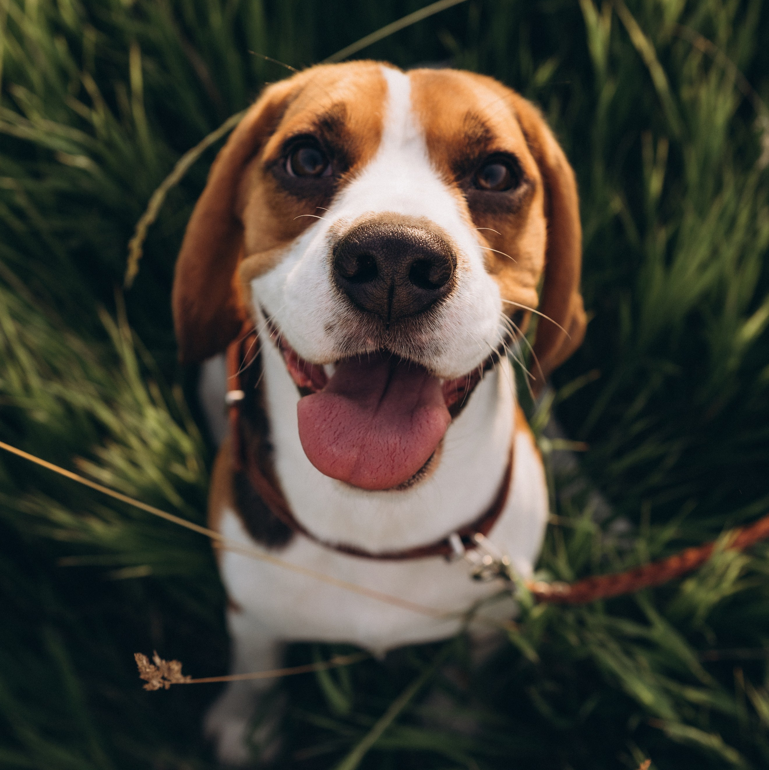 Услуги ретушера. Семейный и детский фотограф Леонова Анна