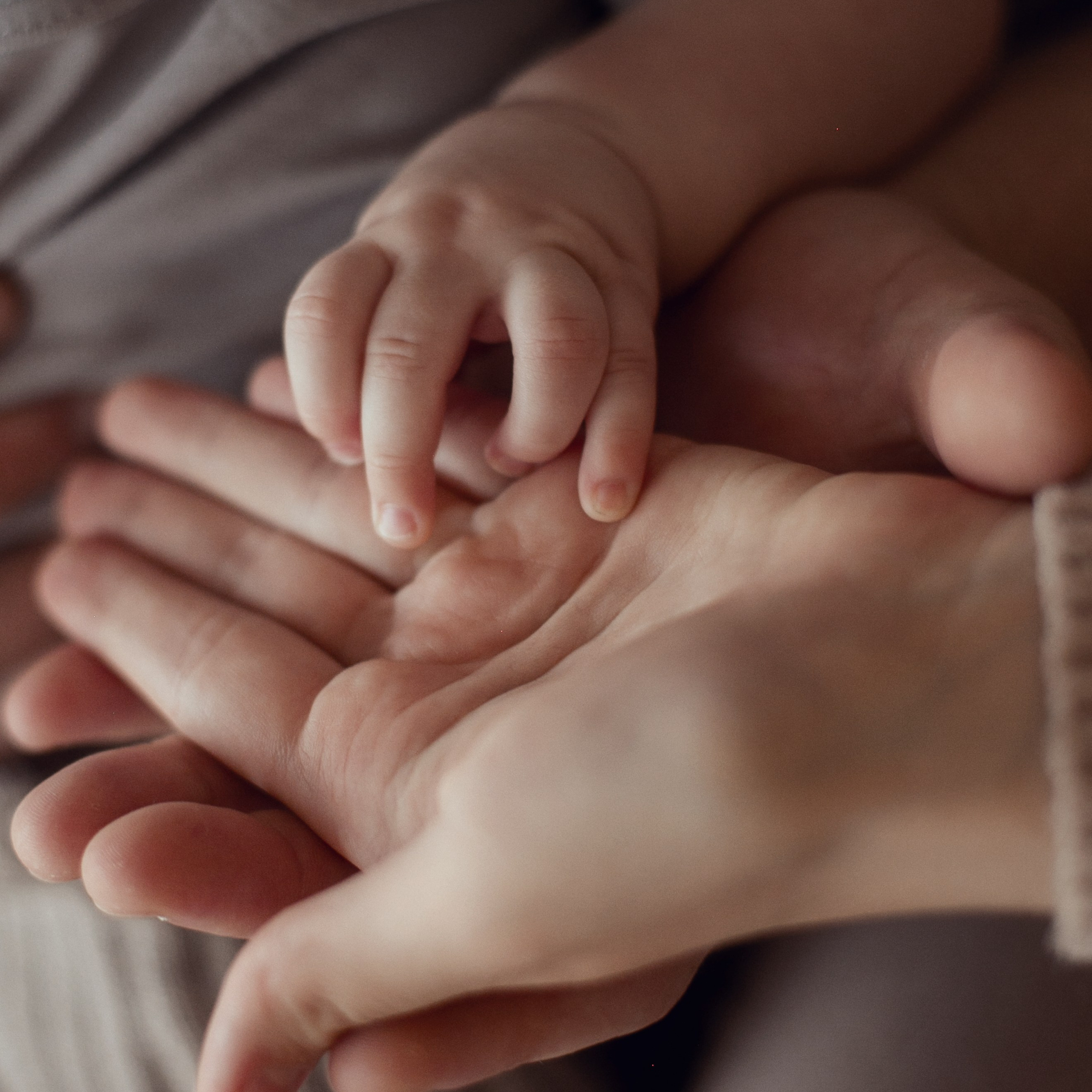 Услуги. Савельева Кристина Художественный фотограф В Томске