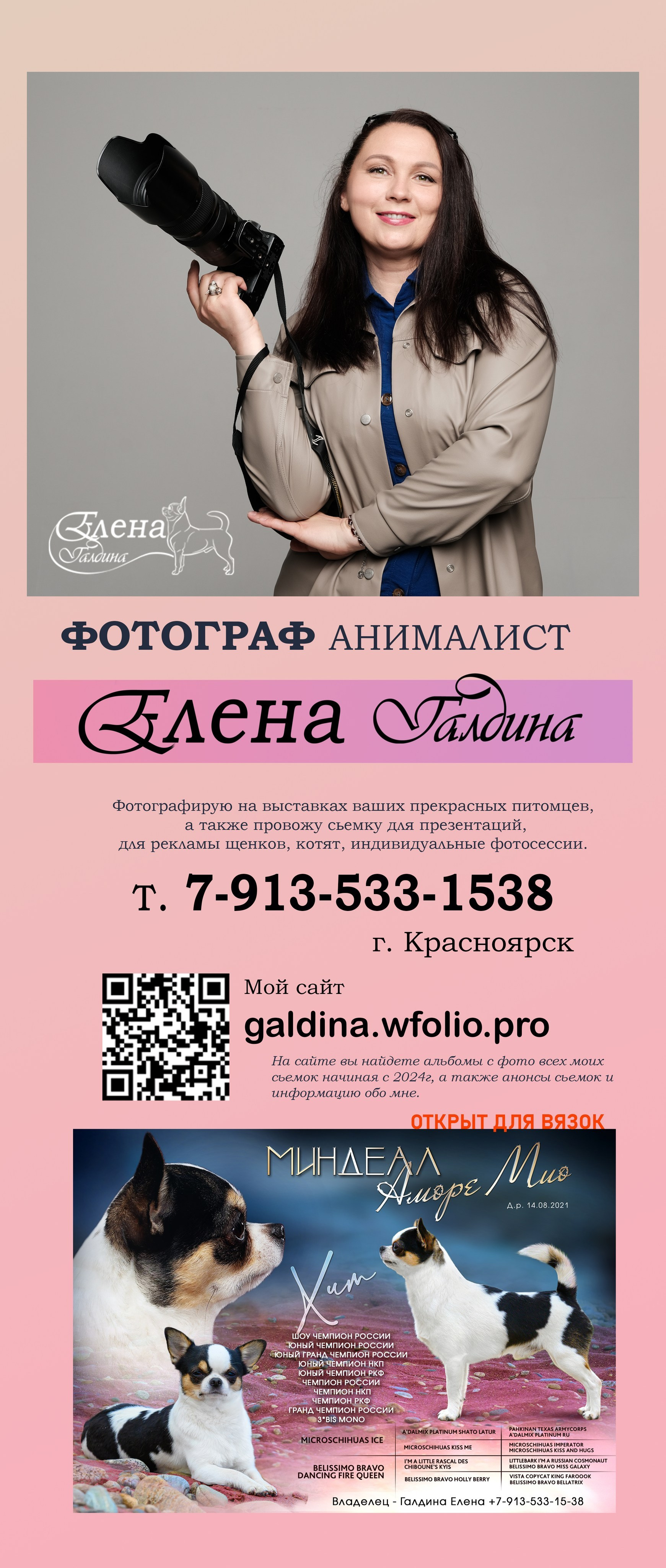 ✅ О СЕБЕ. Фотограф анималист Елена Галдина г. Красноярск