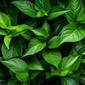 Реальный отзыв психолог. Жизнь после терапии - больше спокойствия и уверенности